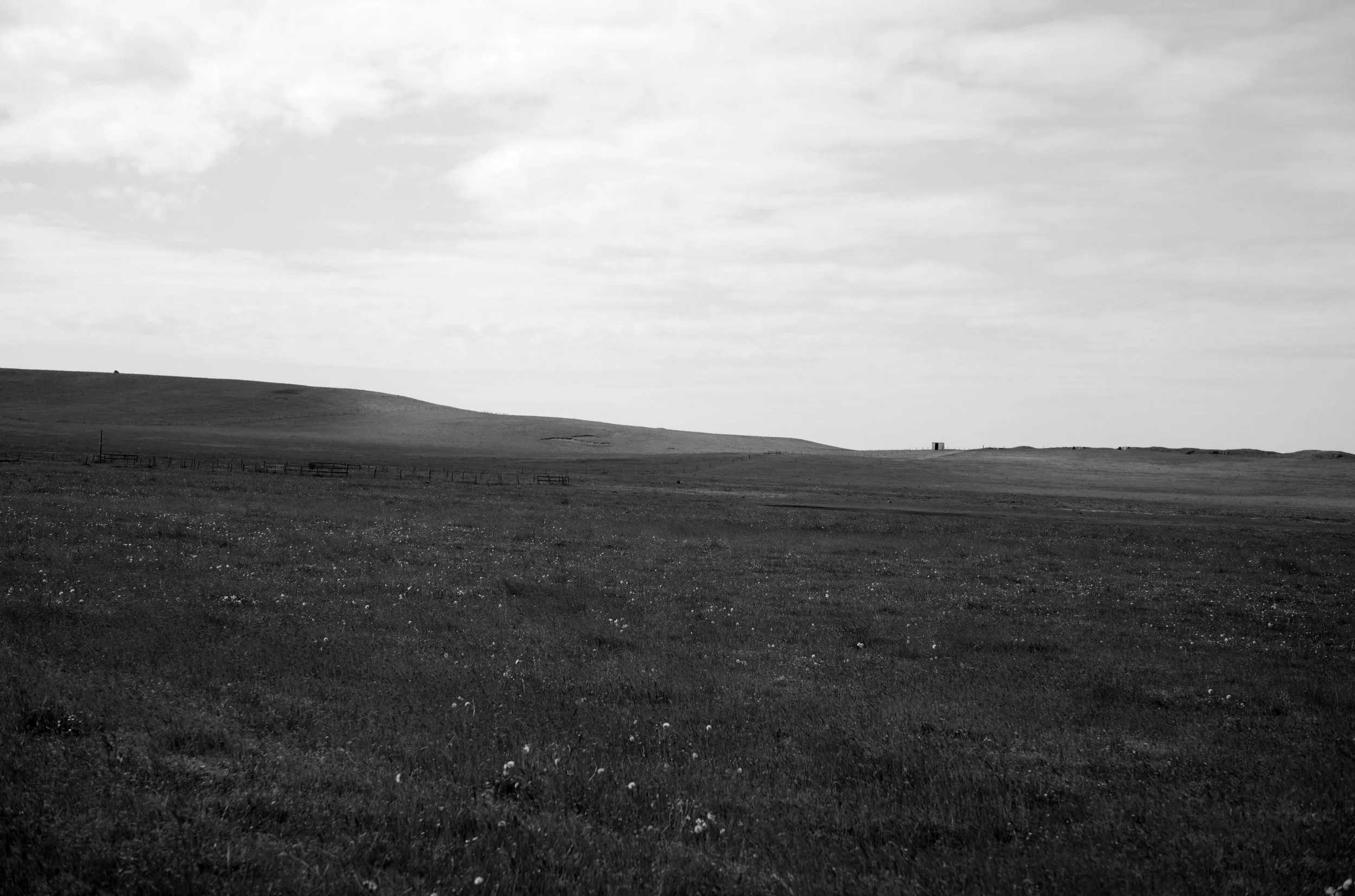 2L1006050_cp_l.jpg