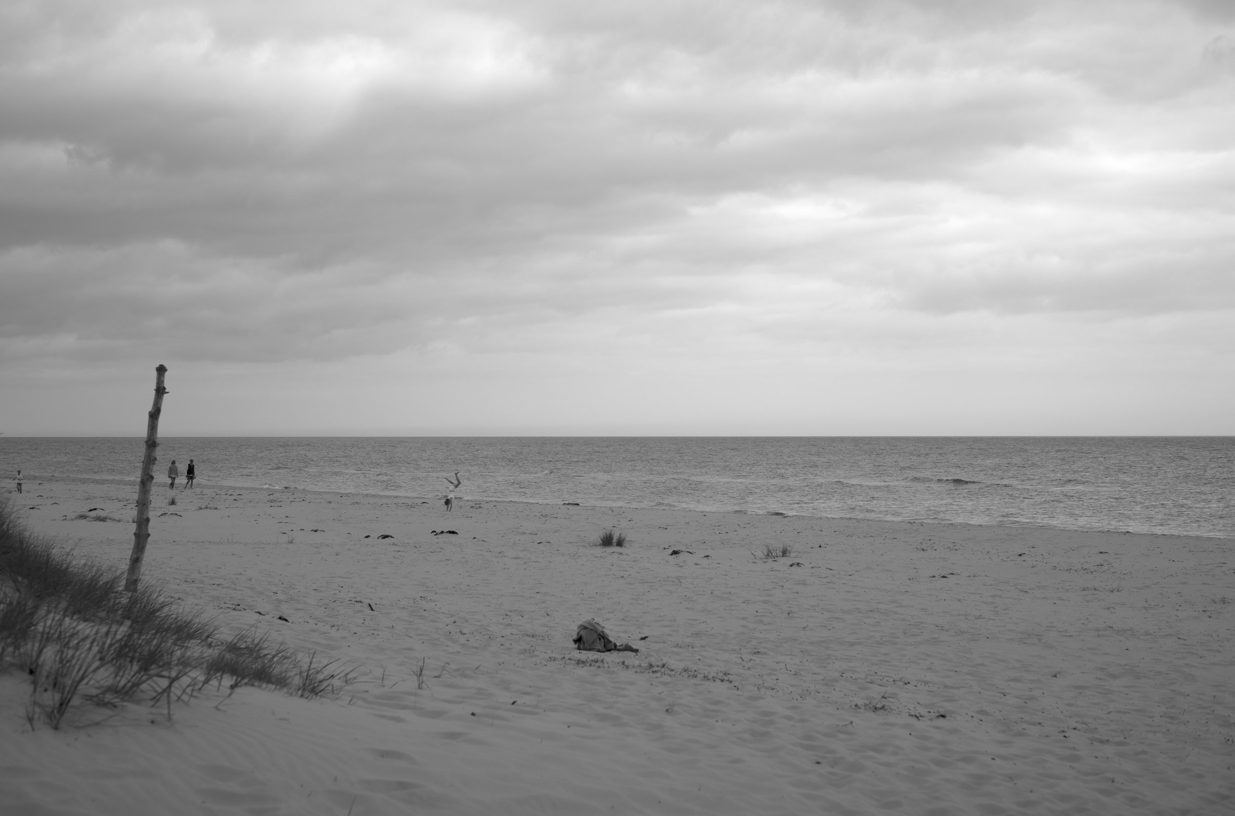 2L1006095_cp_l.jpg