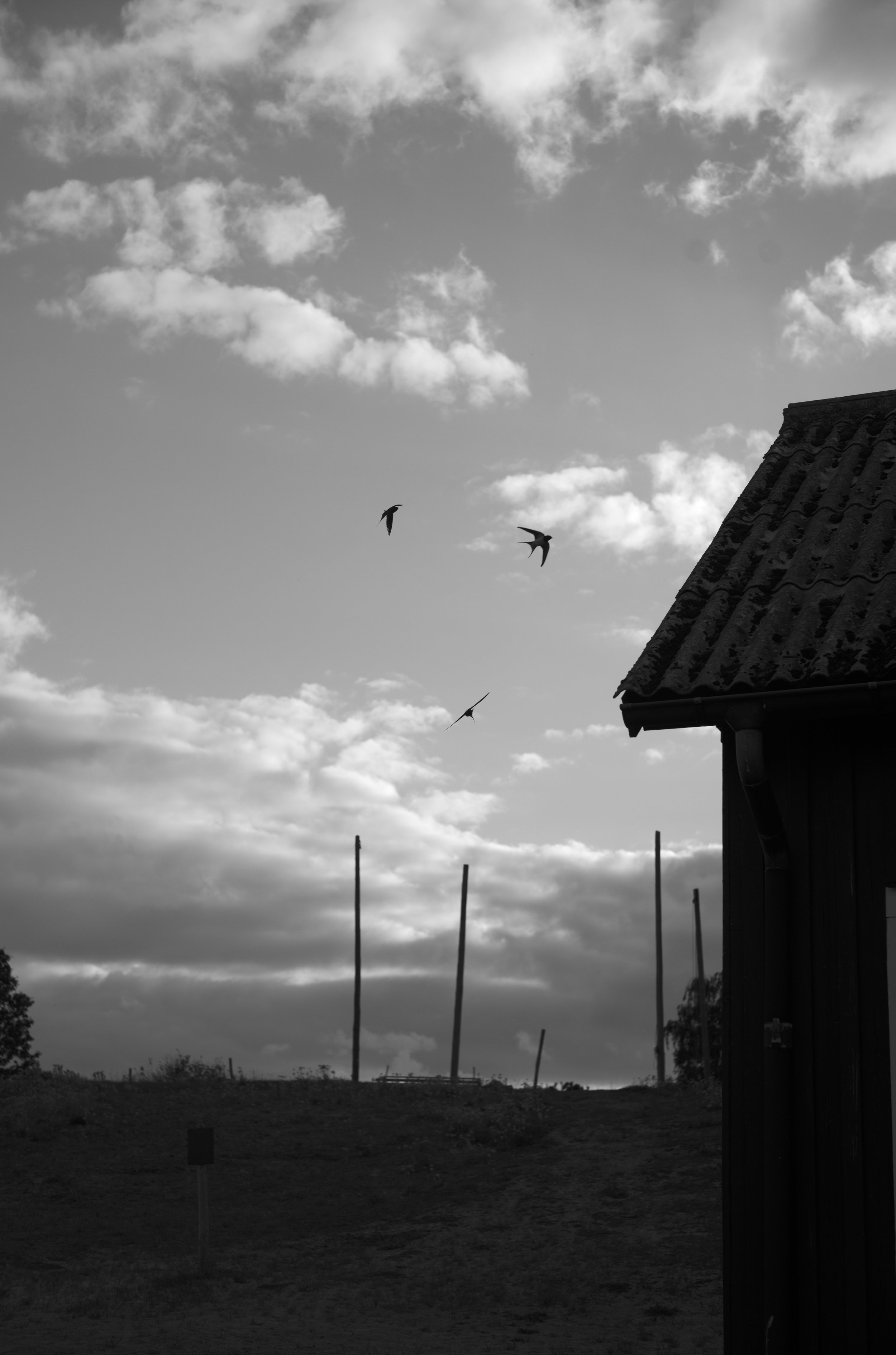 2L1006136_cp_l.jpg