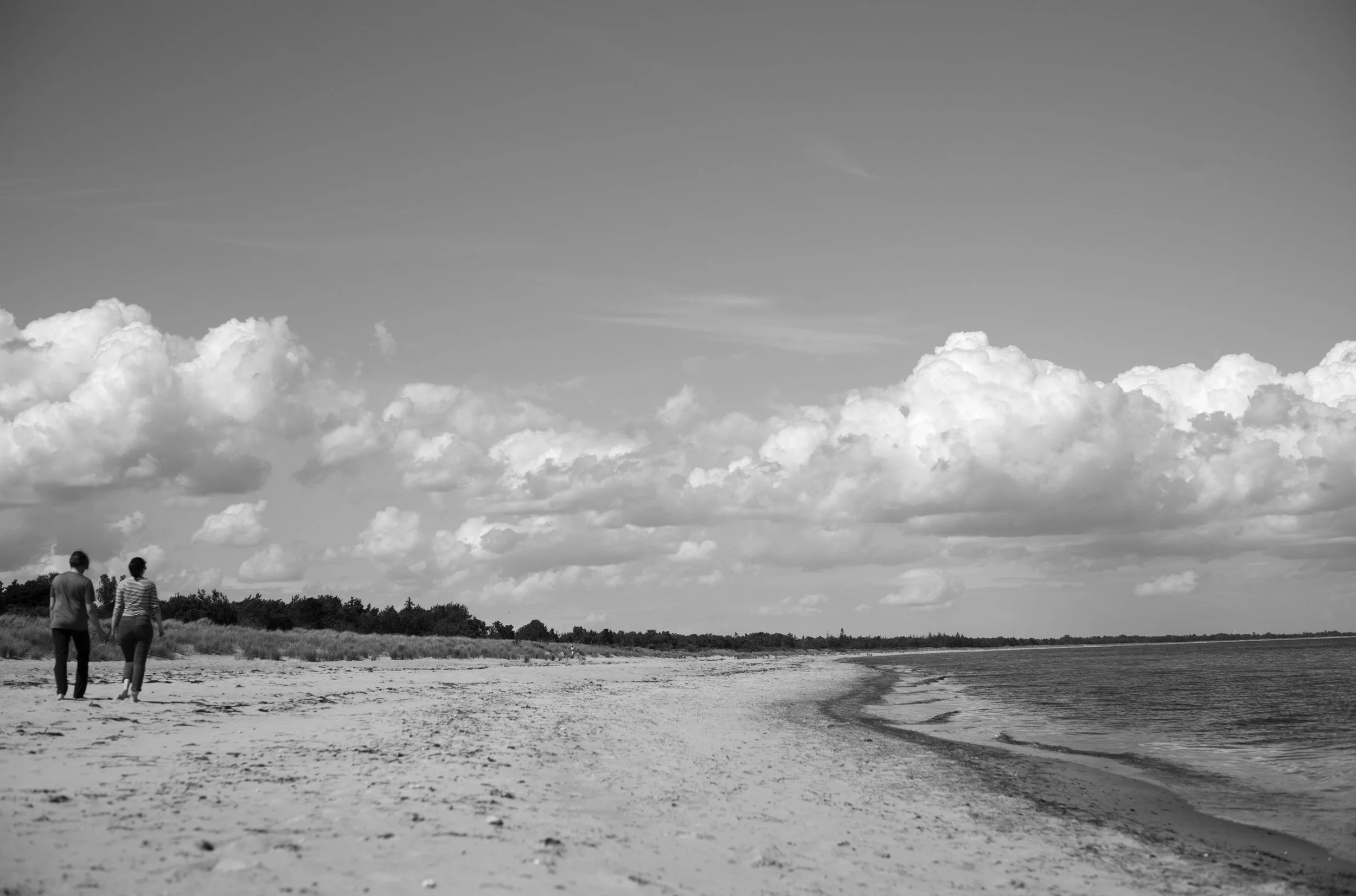2L1006167_cp_l.jpg