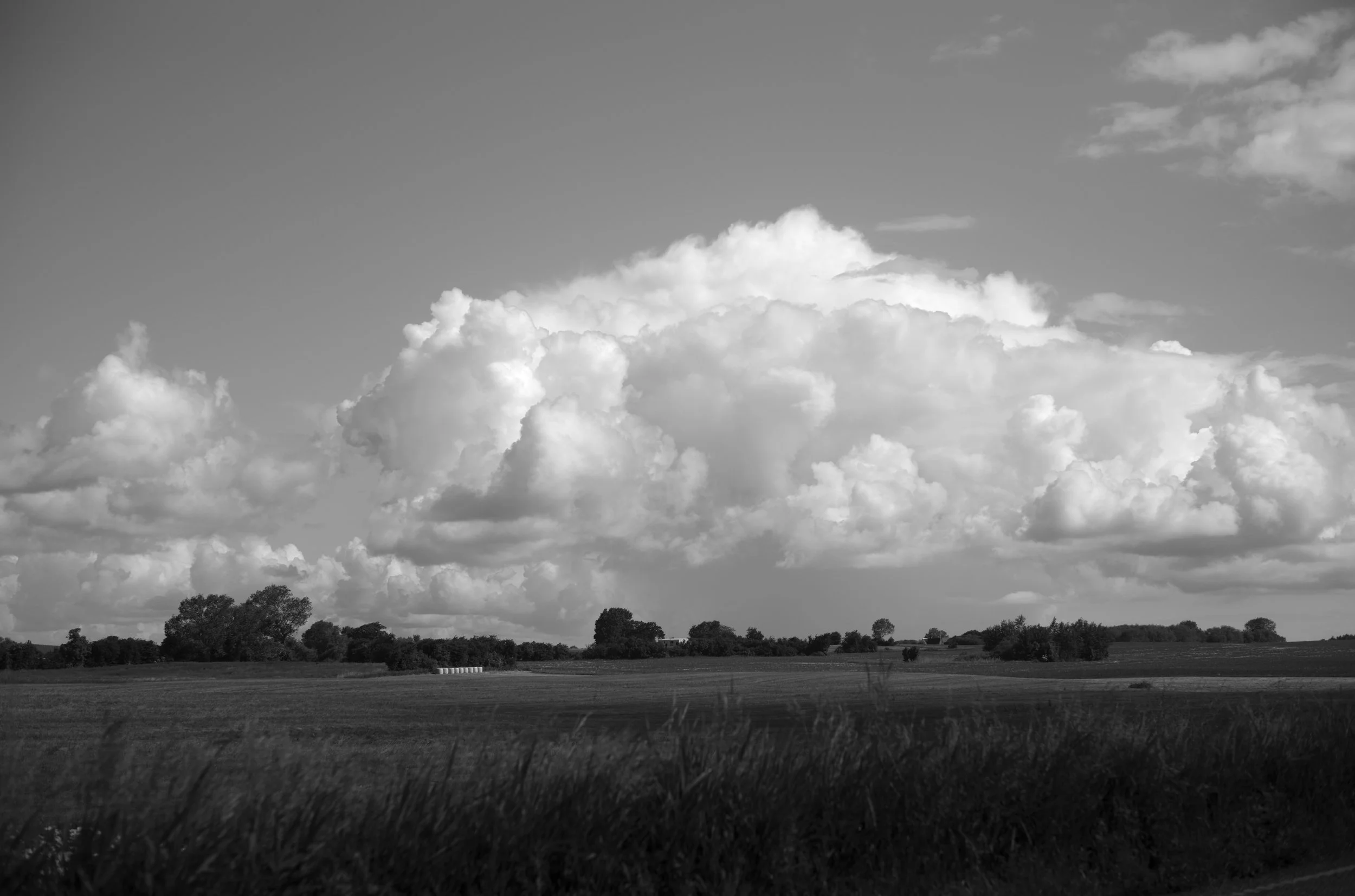 2L1006181_cp_l.jpg
