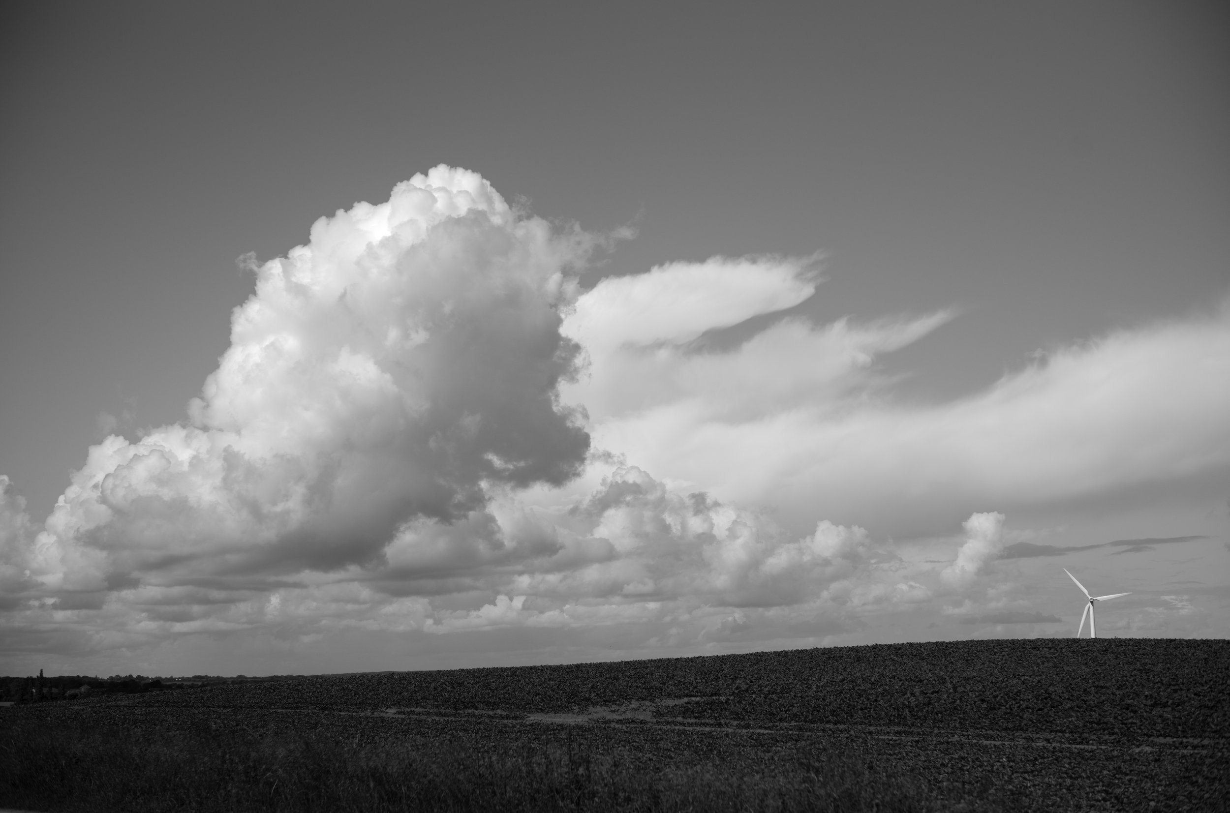 2L1006183_cp_l.jpg