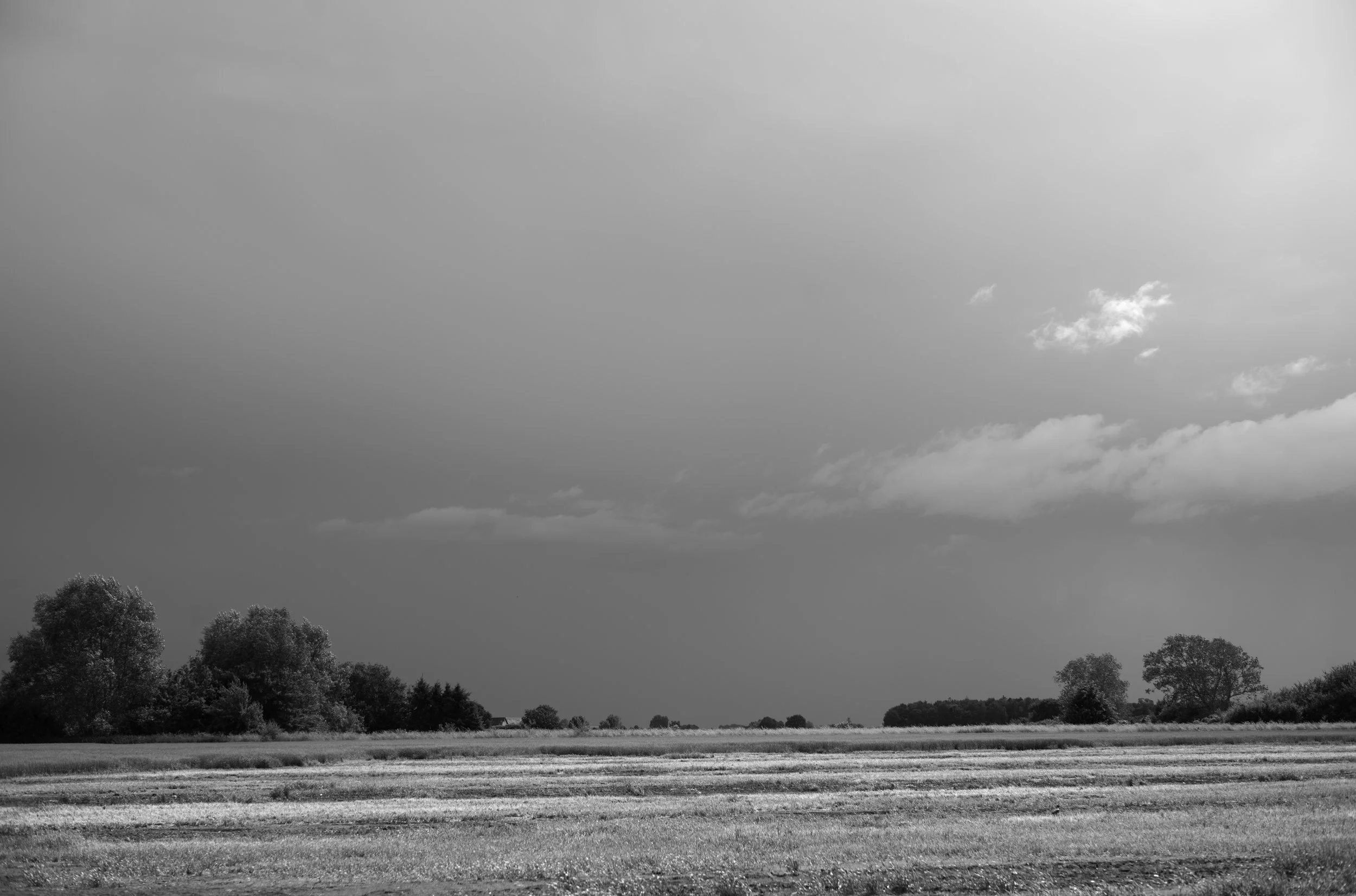 2L1006236_cp_l.jpg