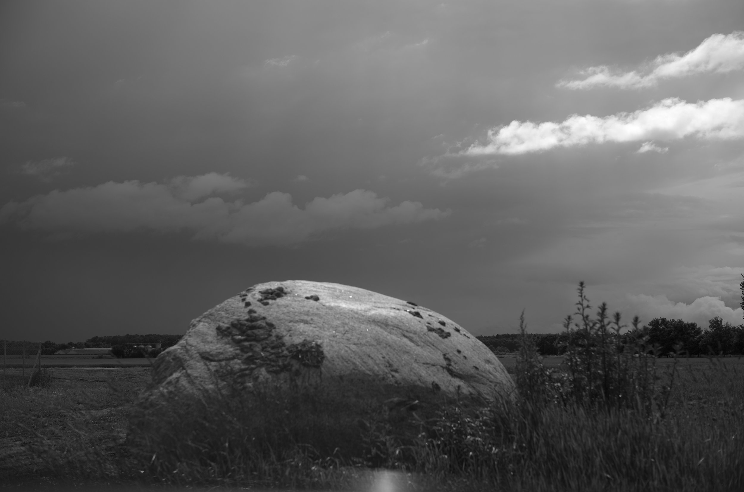 2L1006238_cp_l.jpg