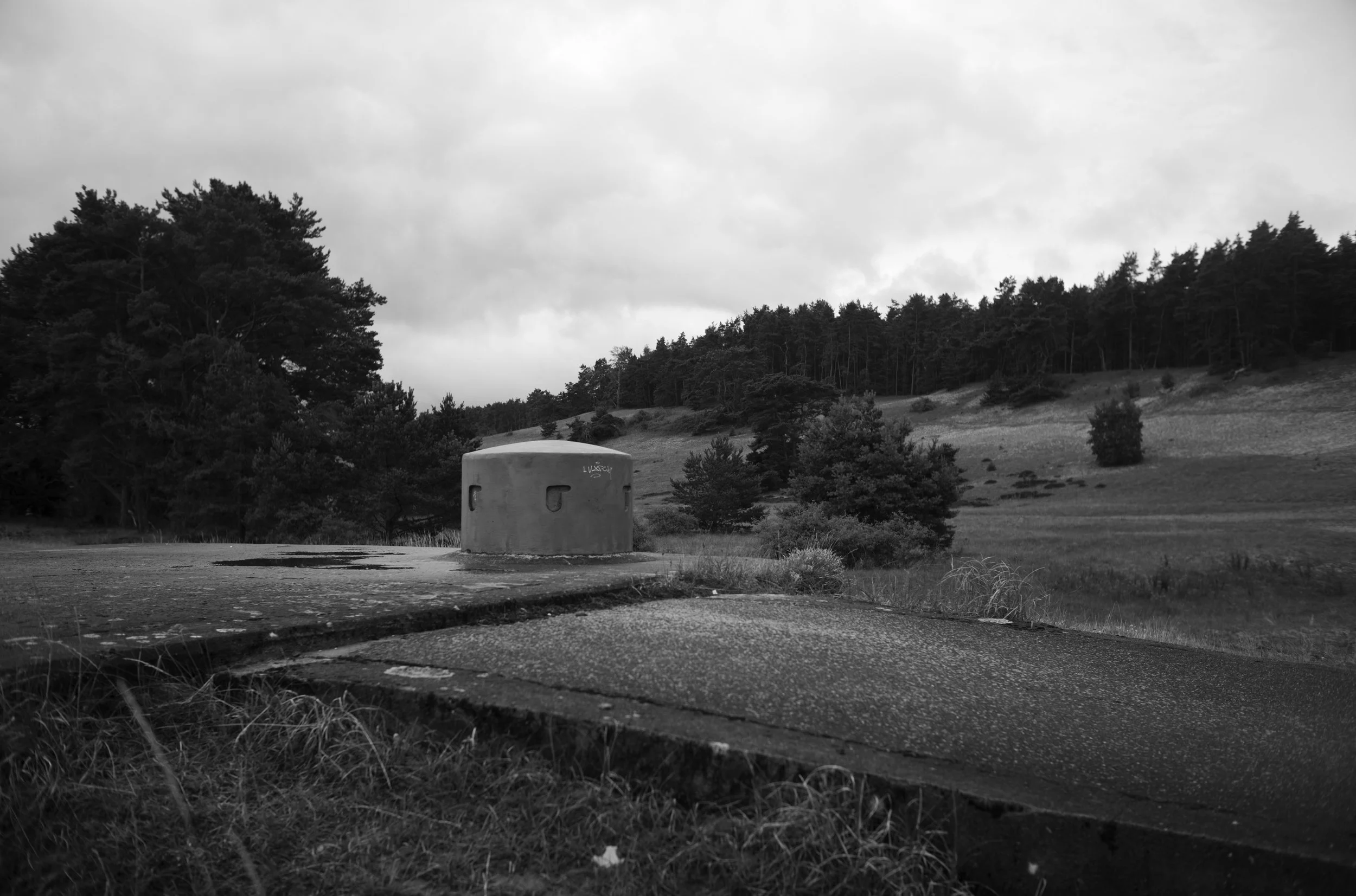 2L1007950_cp_l.jpg
