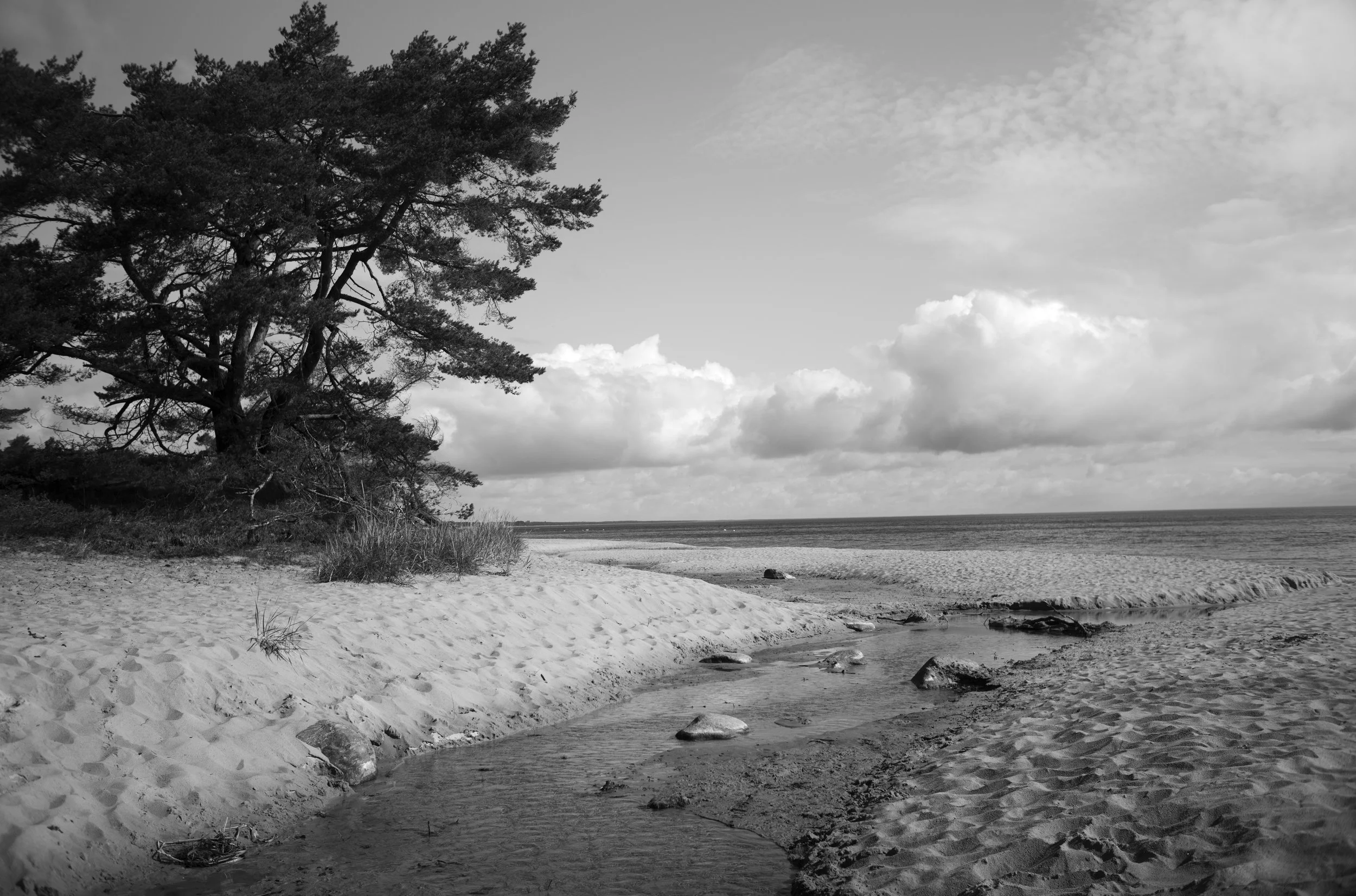 2L1007953_cp_l.jpg
