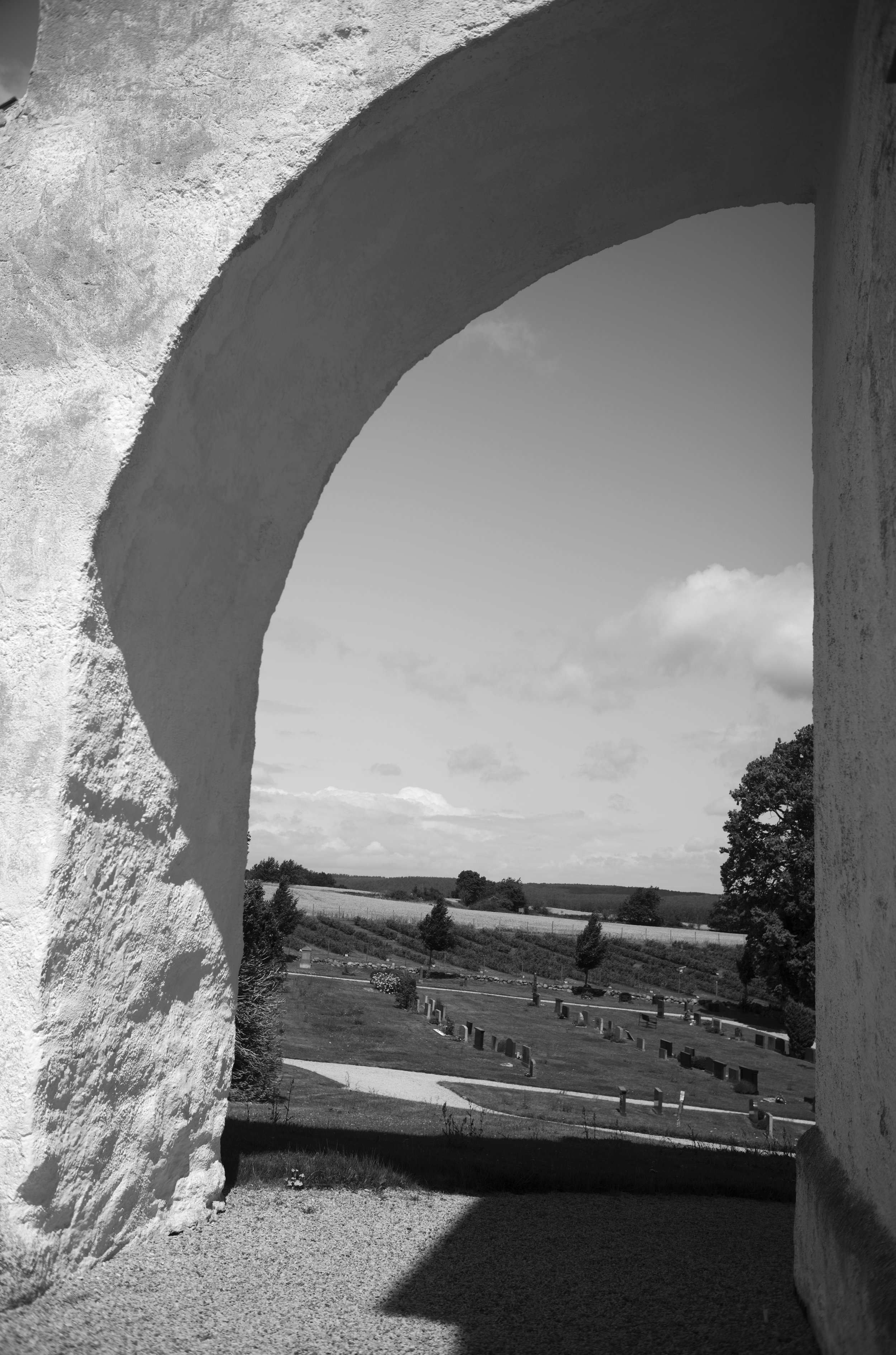 2L1007958_cp_l.jpg