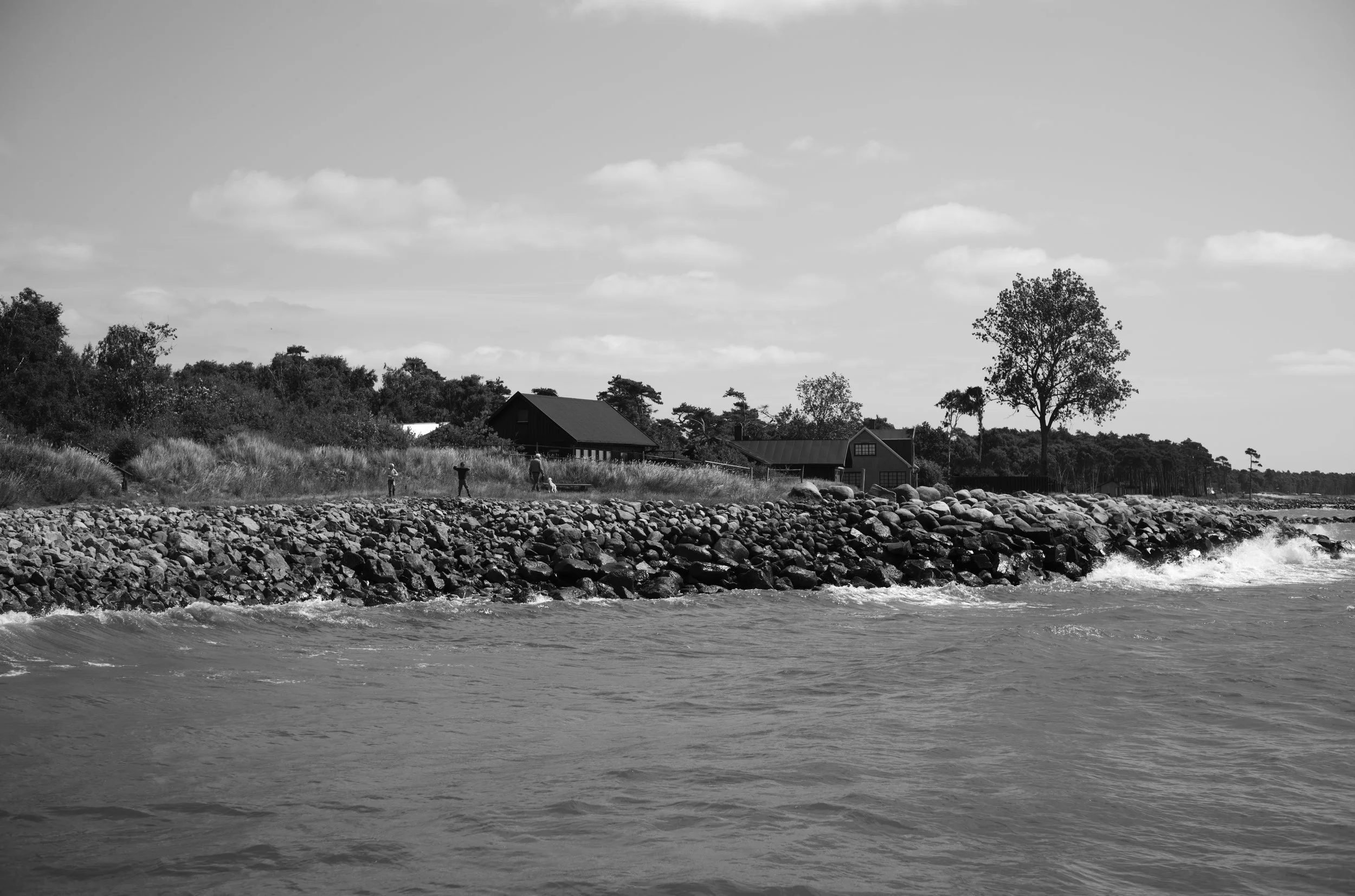 2L1006541_cp_l.jpg