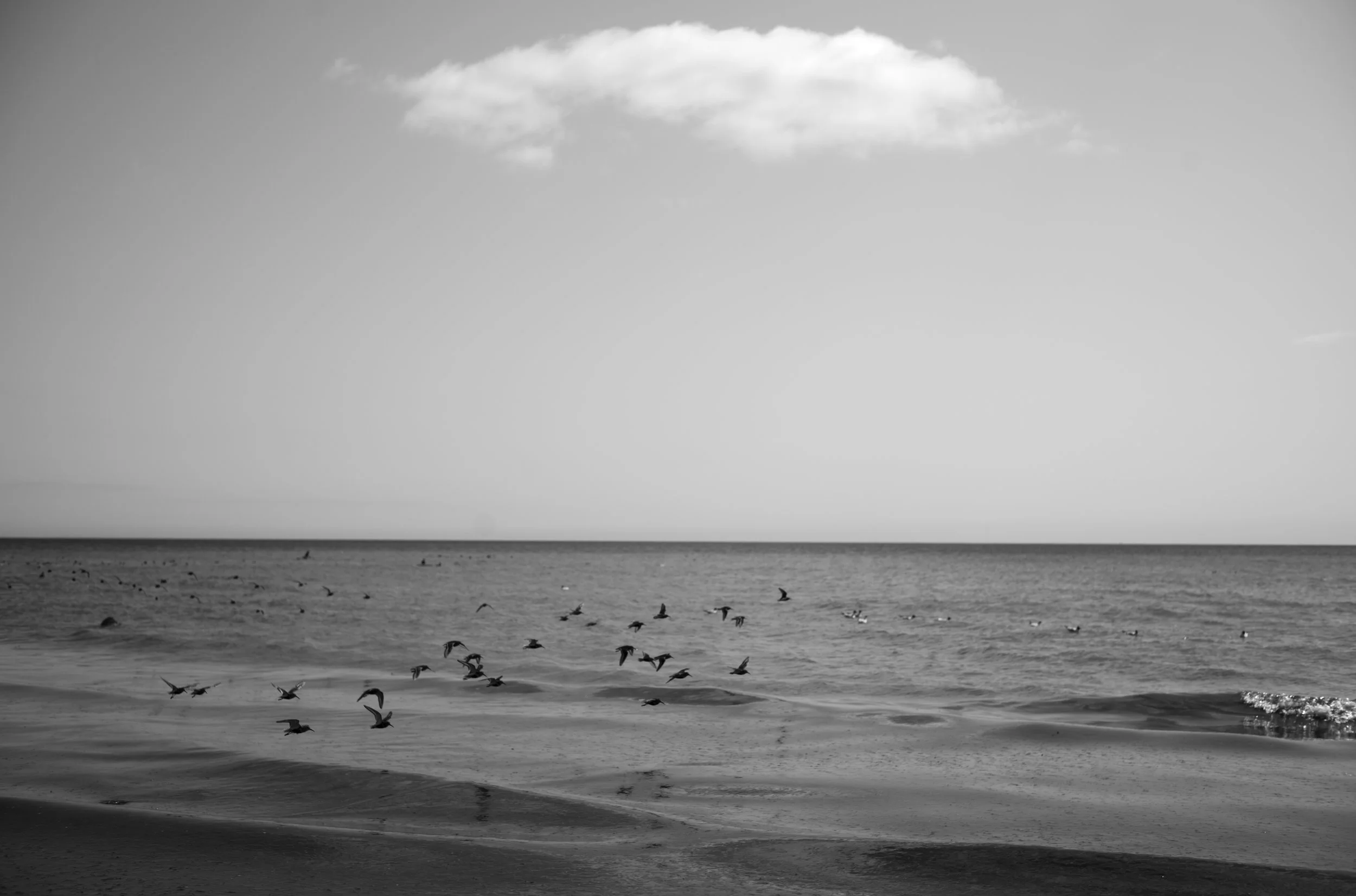 2L1007927cp_l.jpg