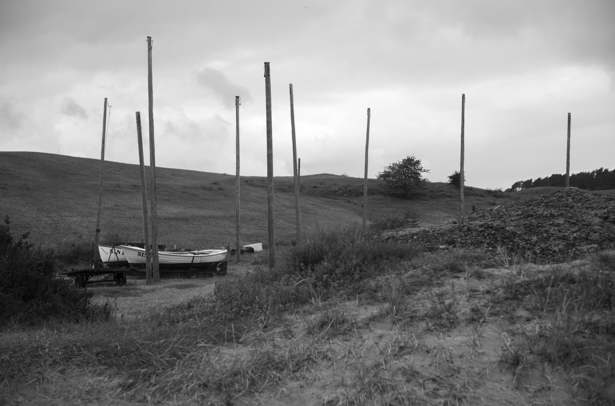 2L1007955_cp_l.jpg