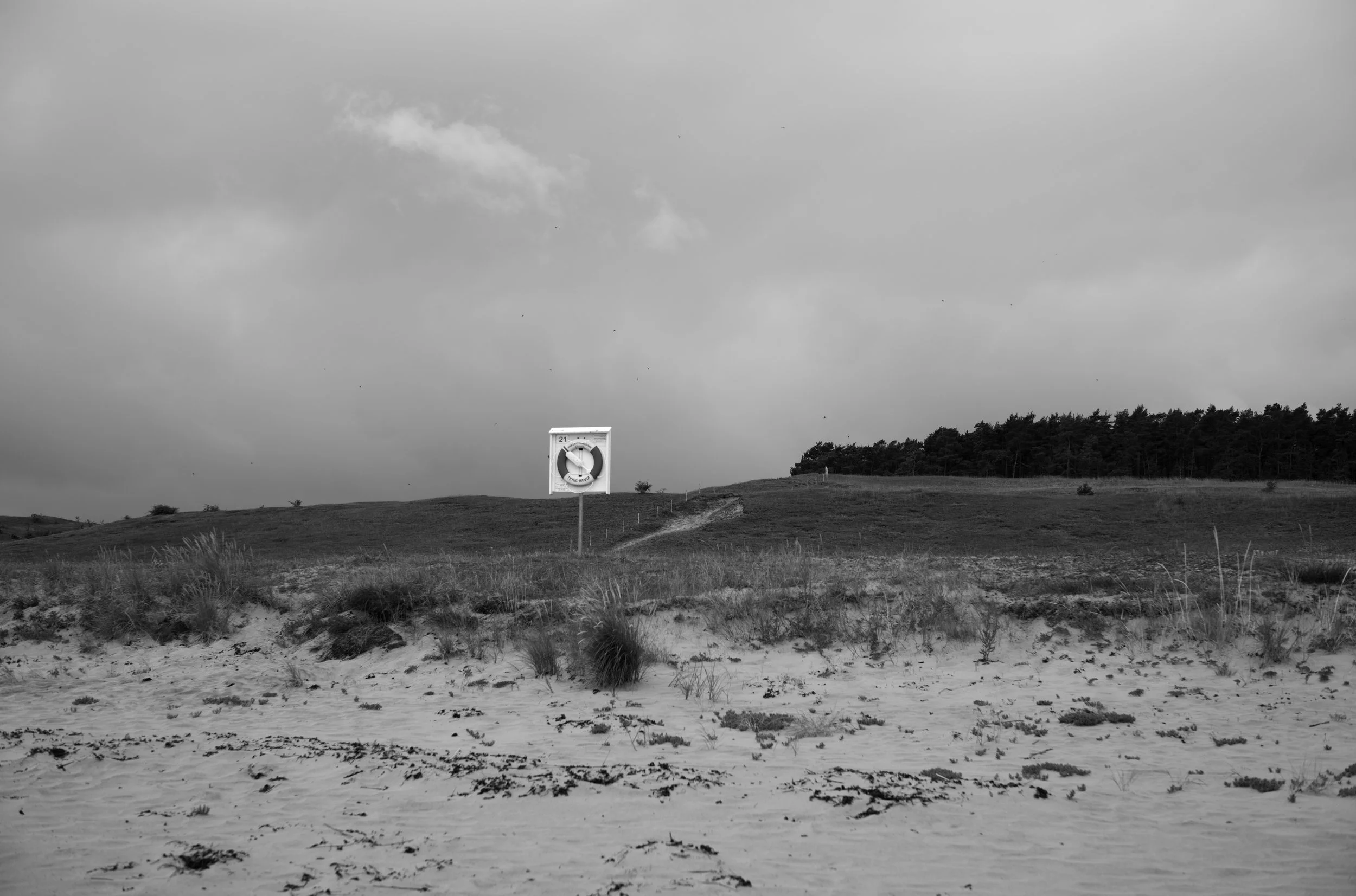 2L1007960_cp_l.jpg