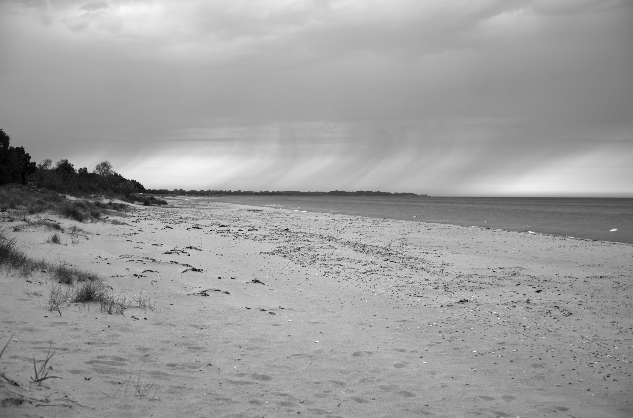 2L1006003_cp_l.jpg