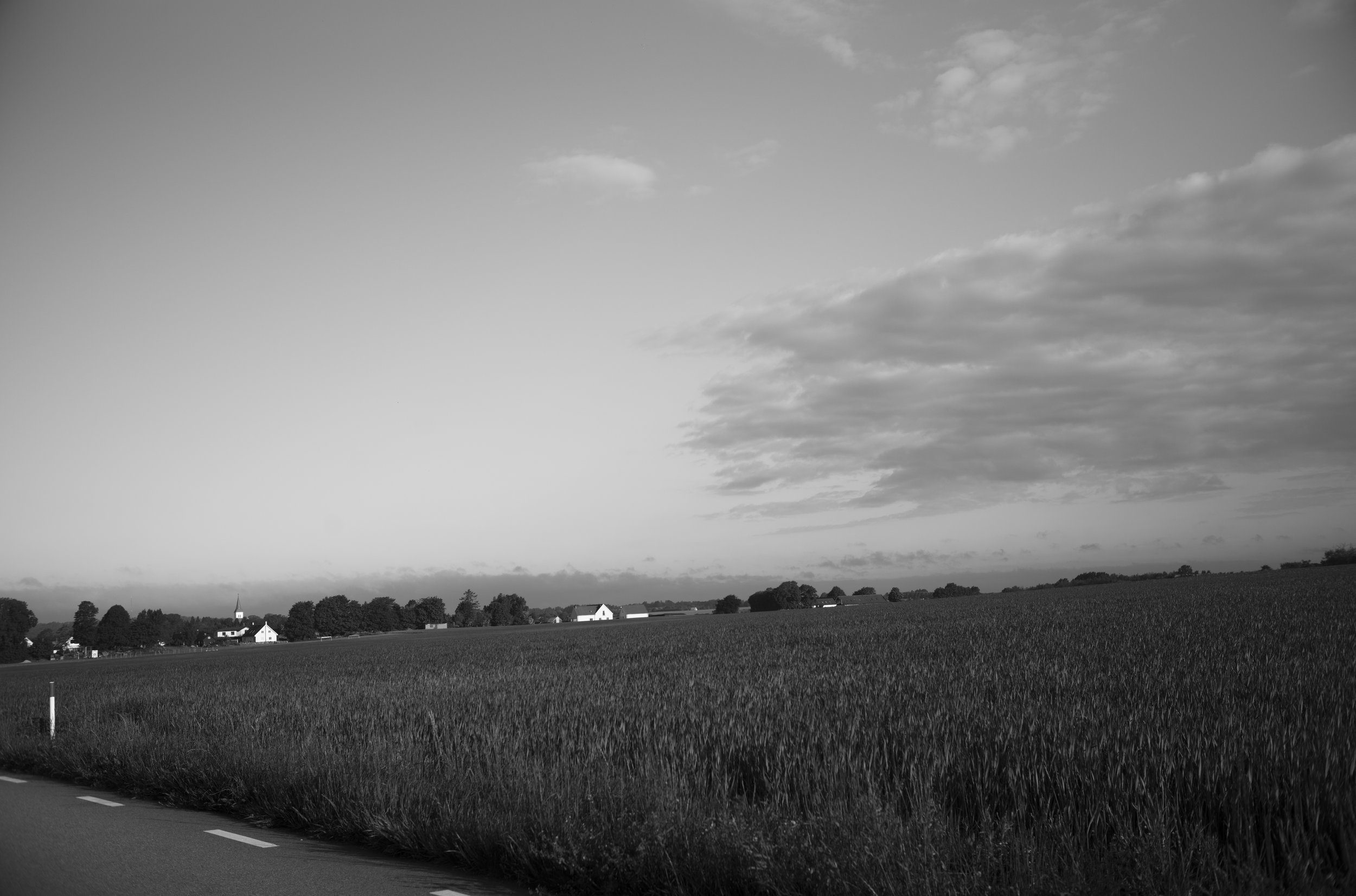 2L1007842_cp_l.jpg