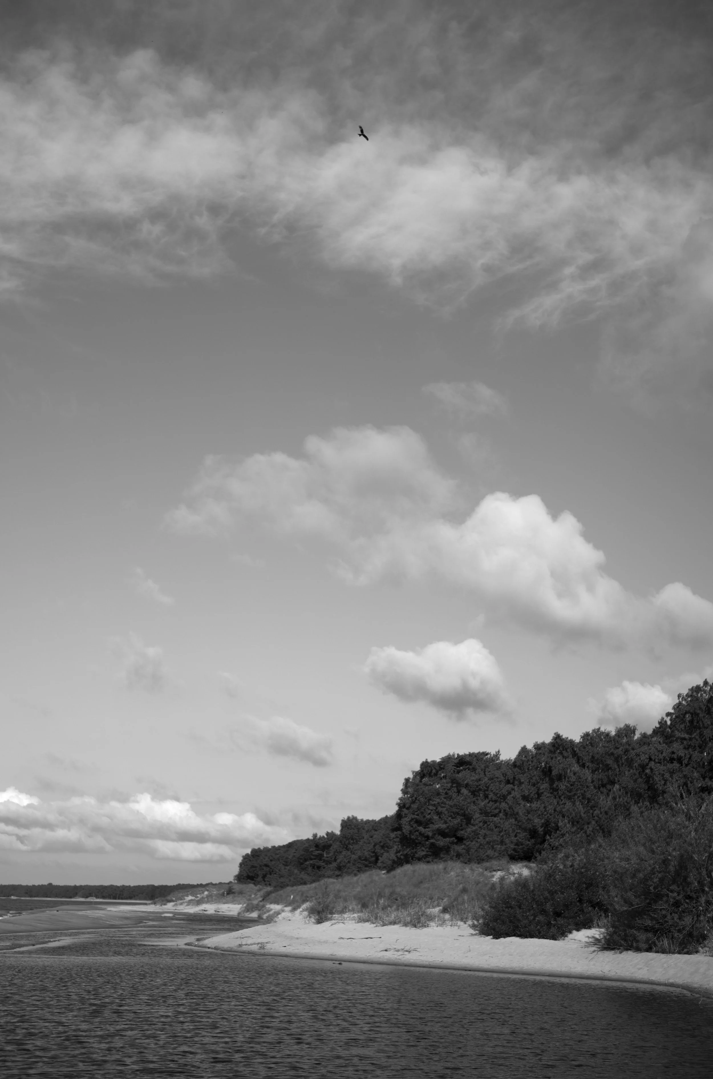 2L1006040_cp_l.jpg