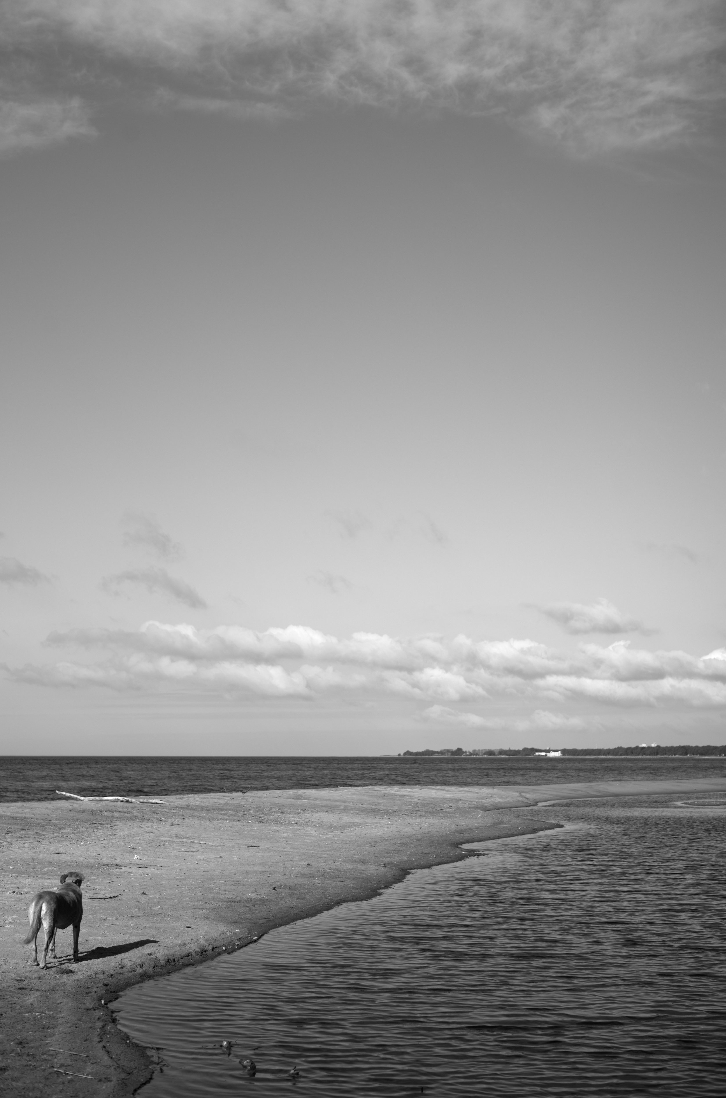 2L1006041_cp_l.jpg