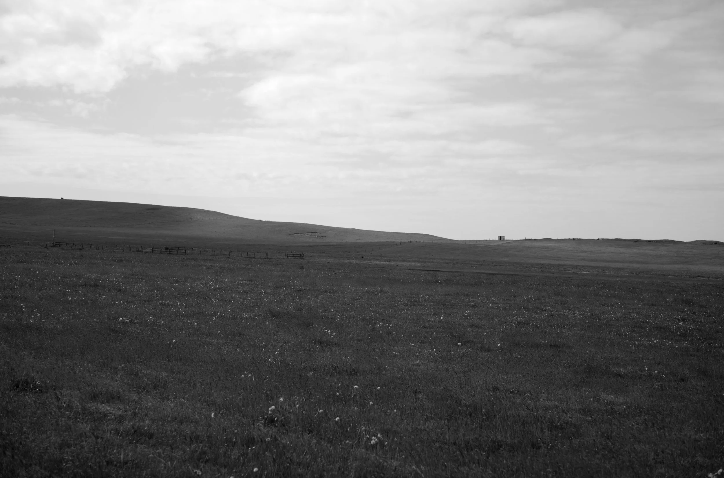 2L1006050_cp_l.jpg