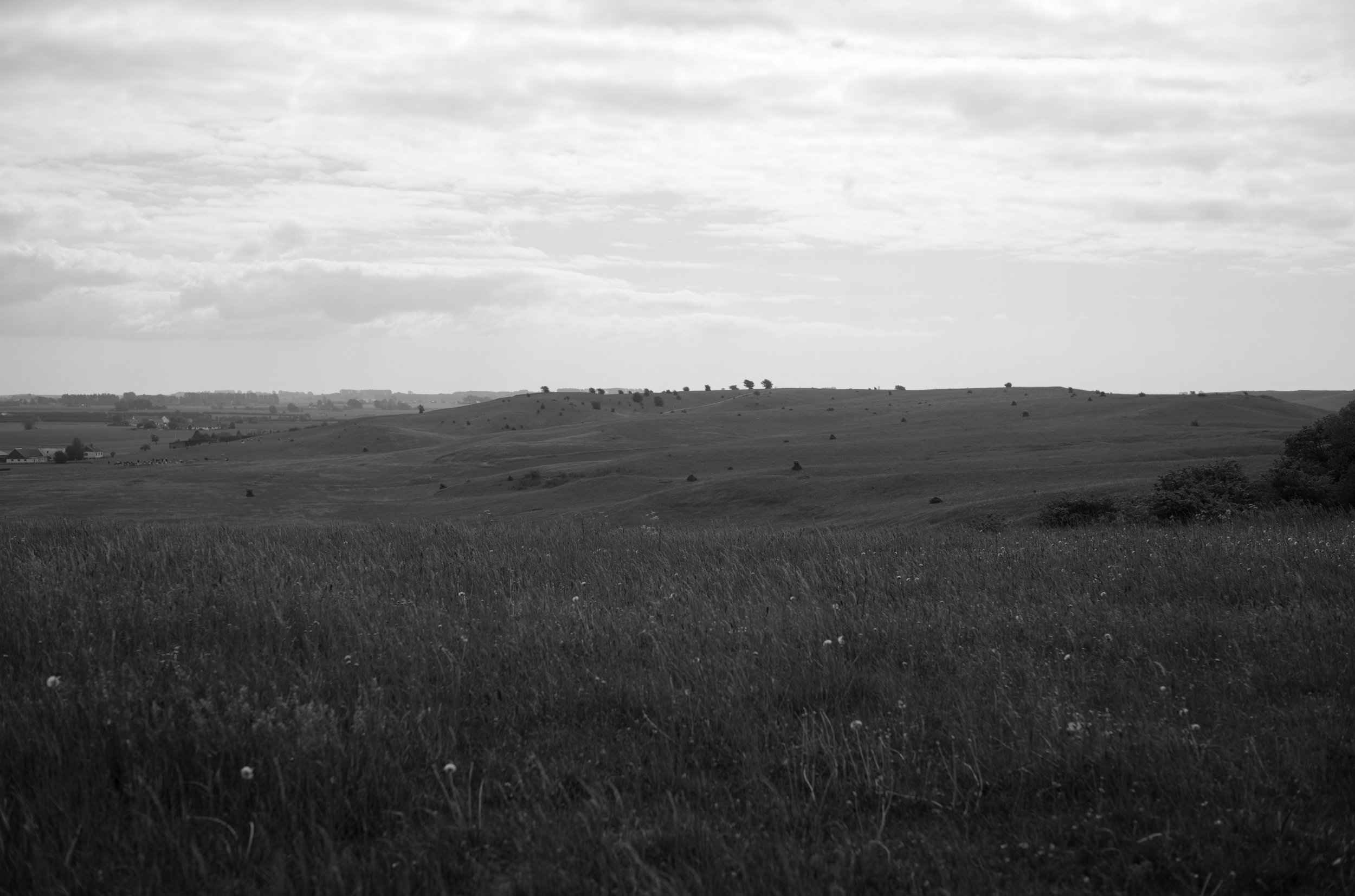 2L1006062_cp_l.jpg