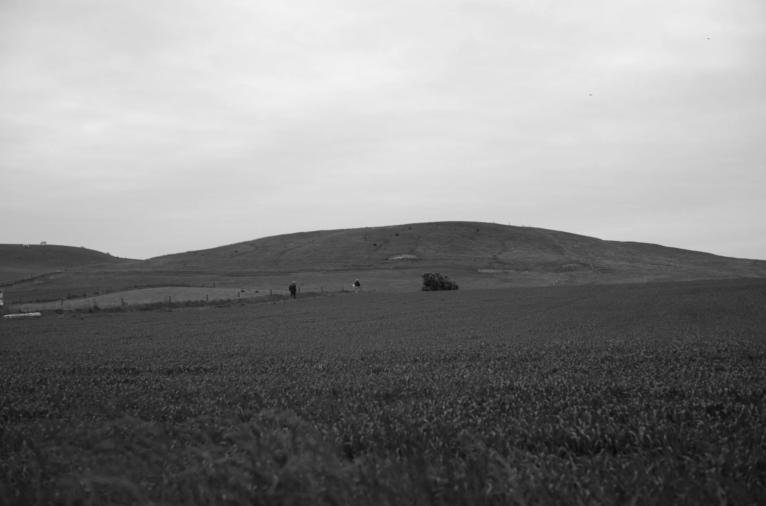 2L1006068_cp_l.jpg