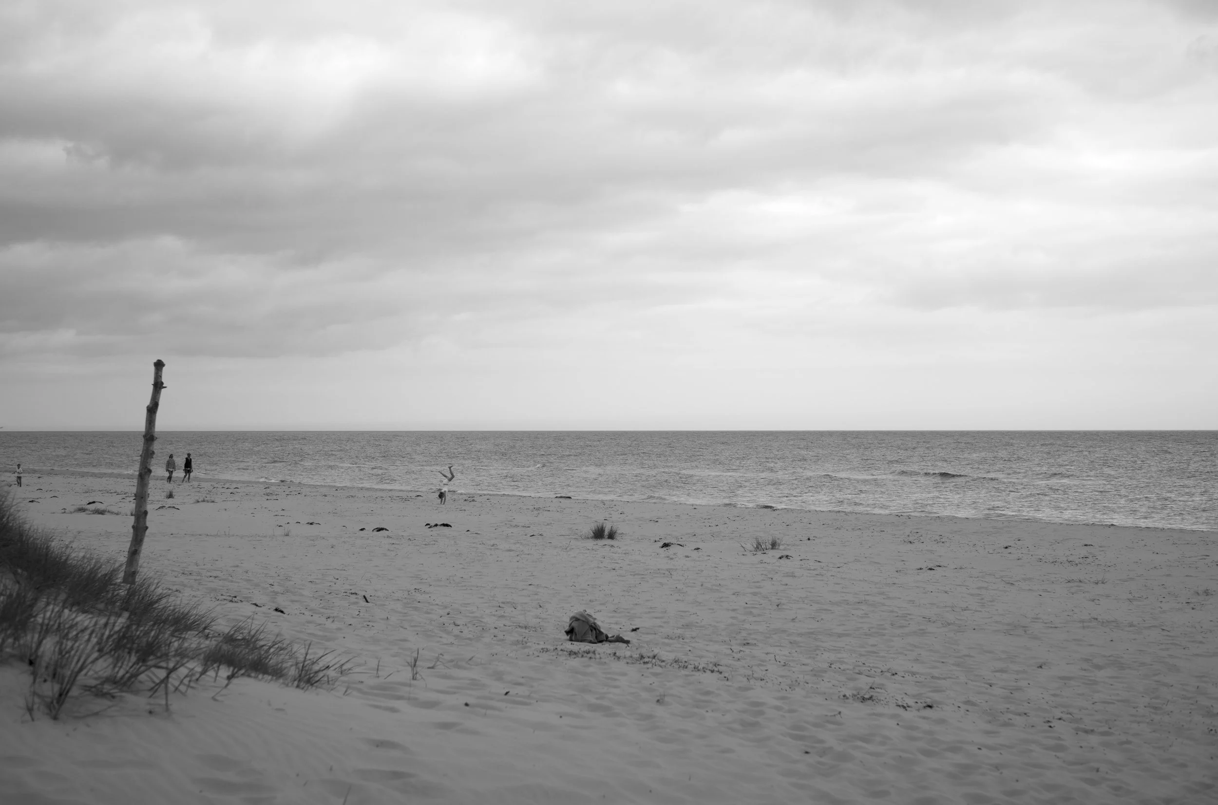2L1006095_cp_l.jpg