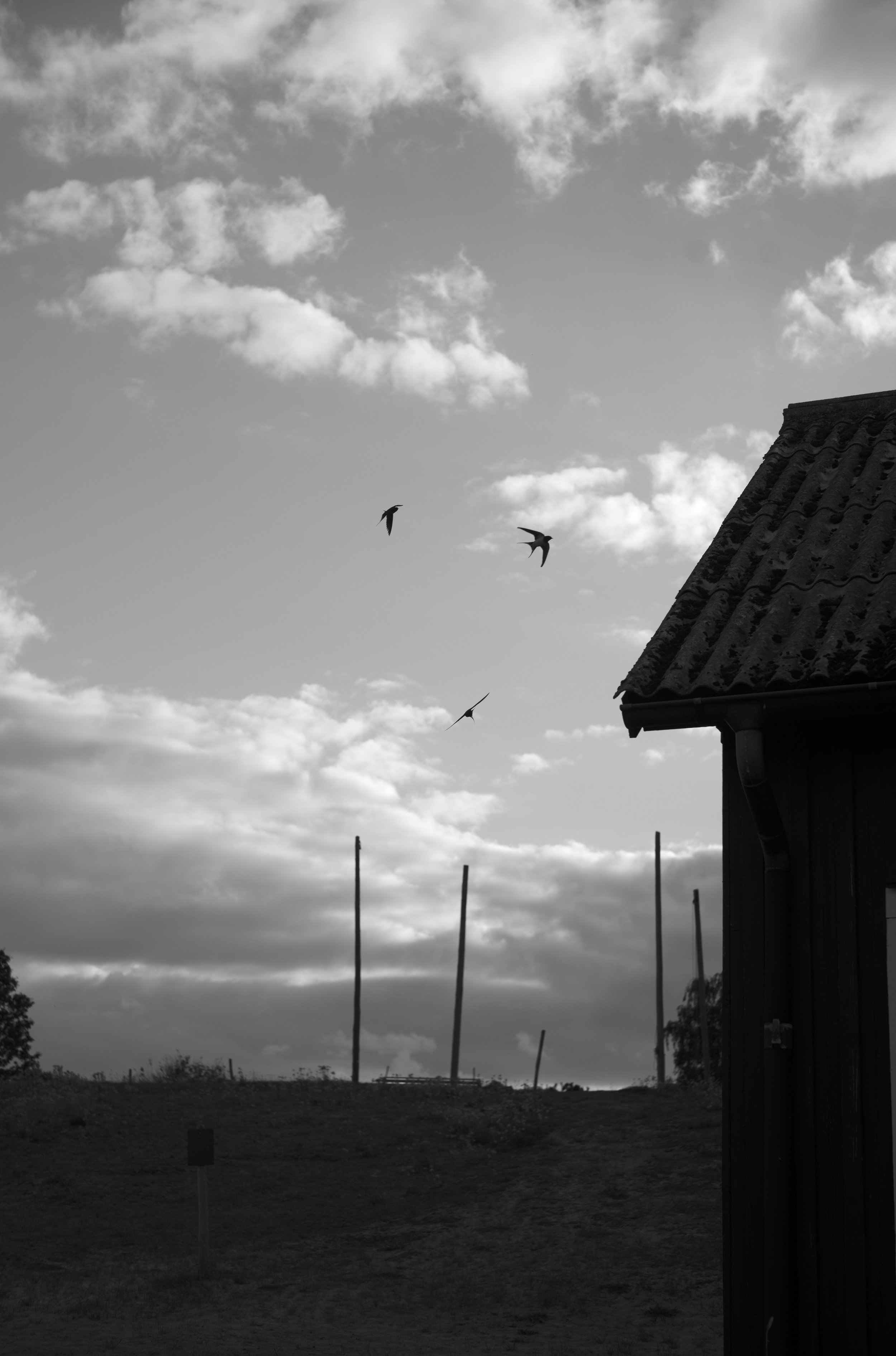 2L1006136_cp_l.jpg