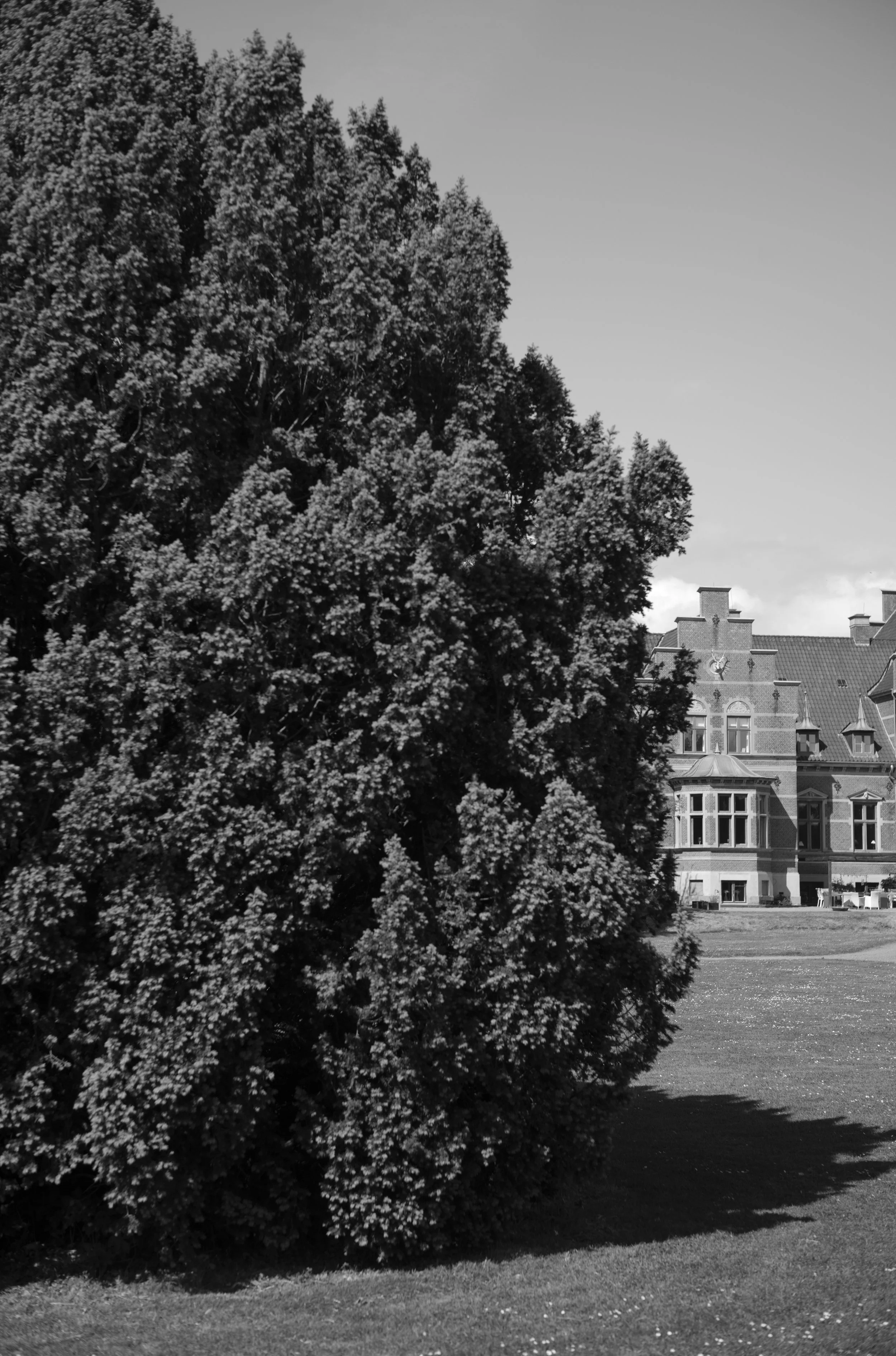 2L1006143_cp_l.jpg