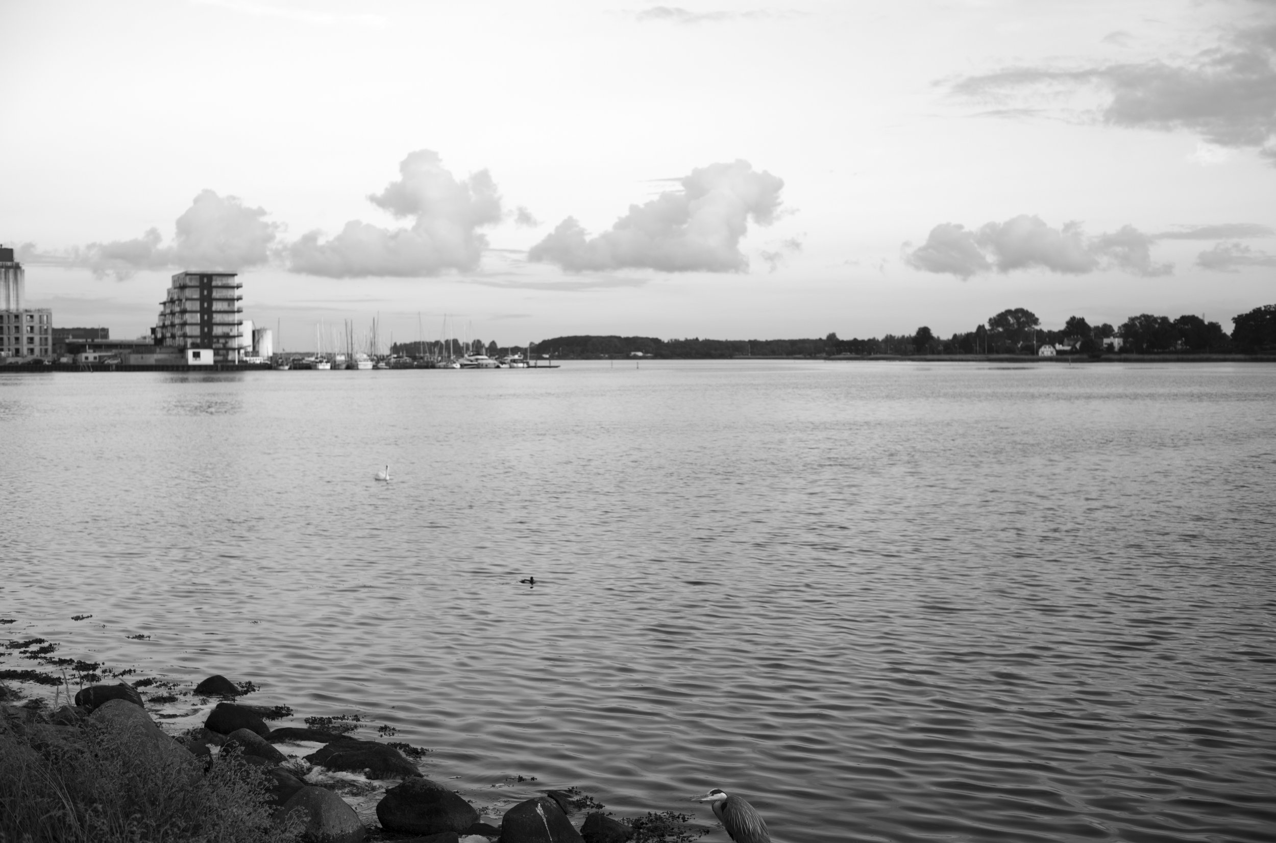 2L1006150_cp_l.jpg