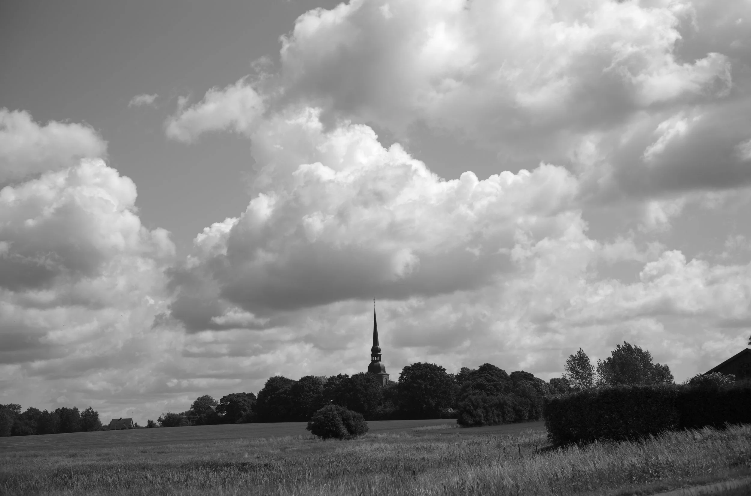2L1006166_cp_l.jpg