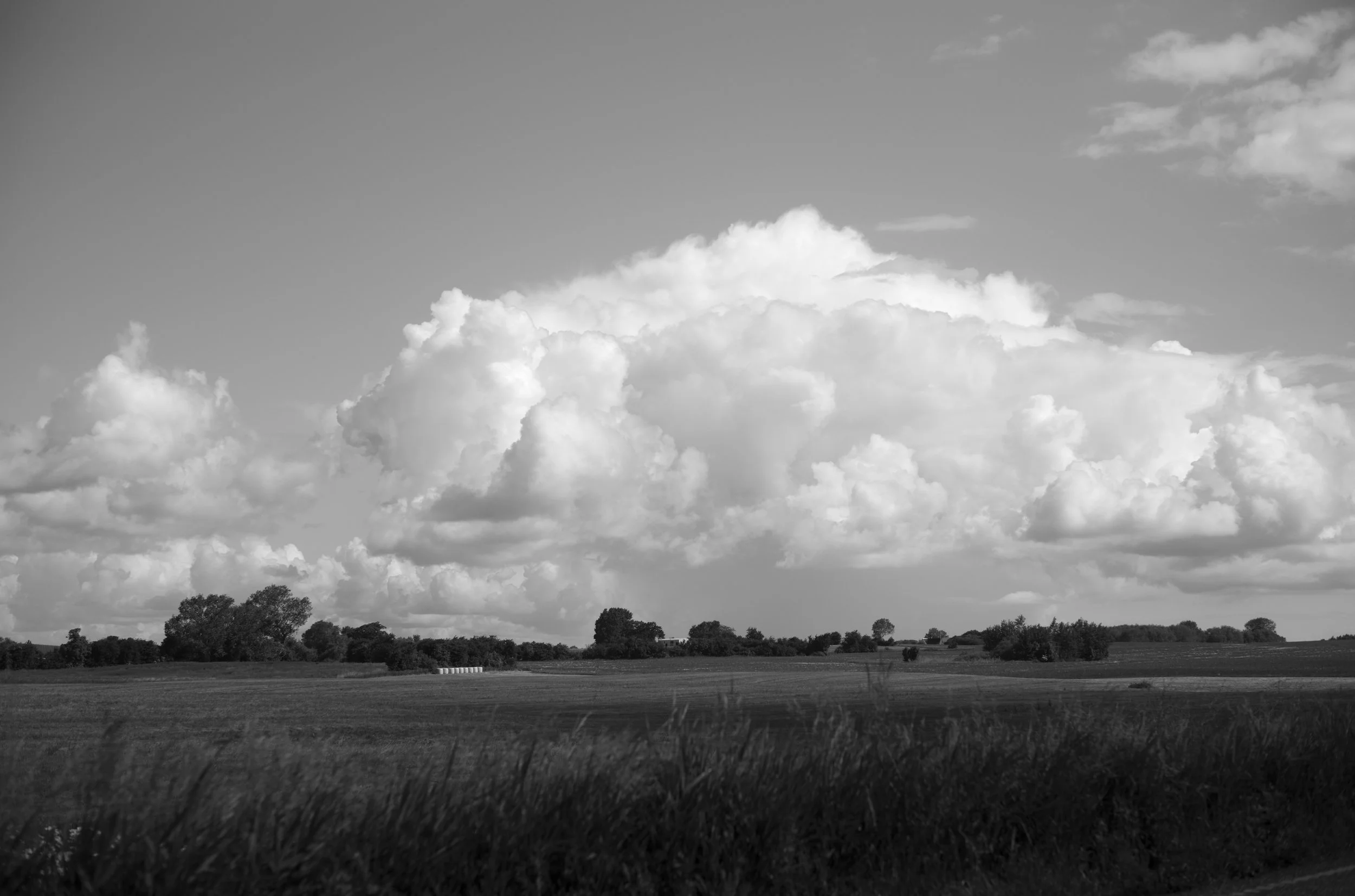 2L1006181_cp_l.jpg