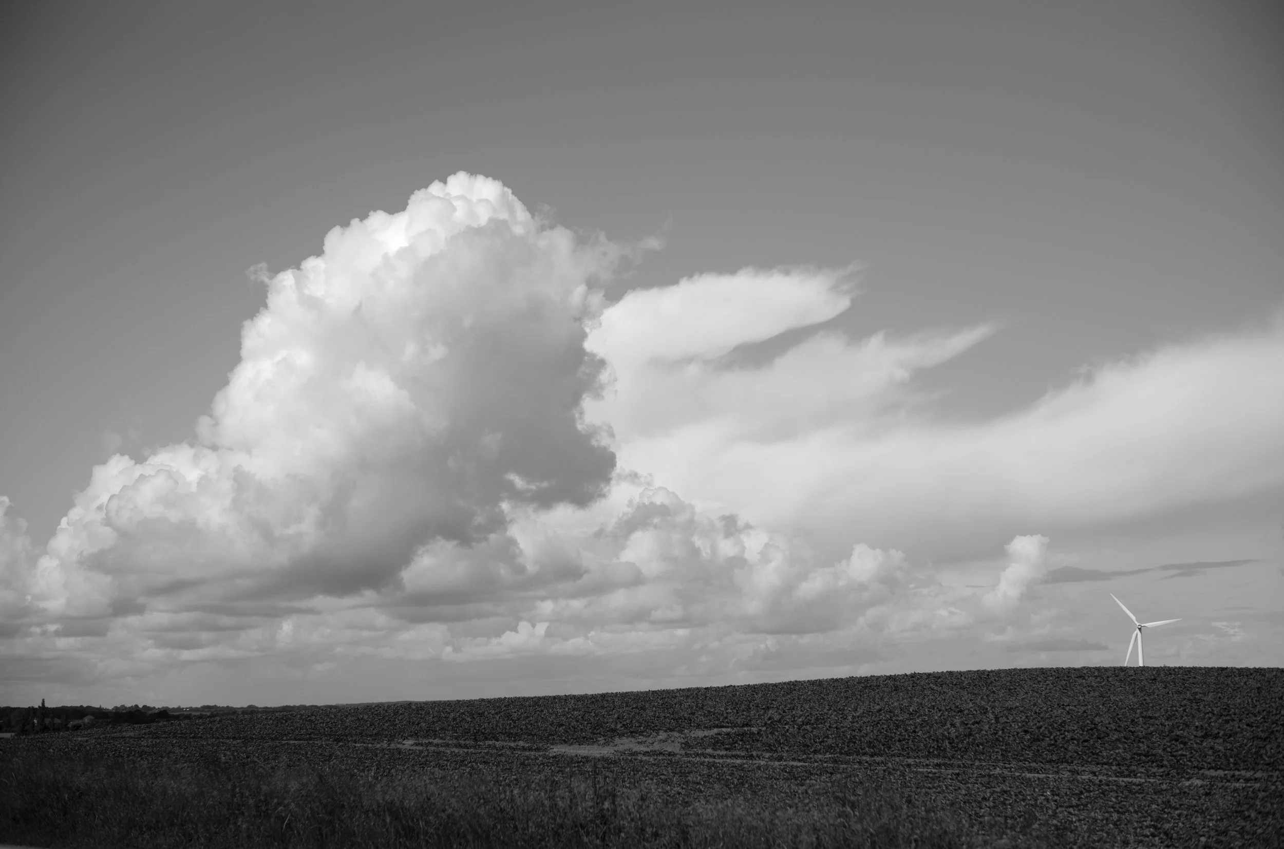 2L1006183_cp_l.jpg