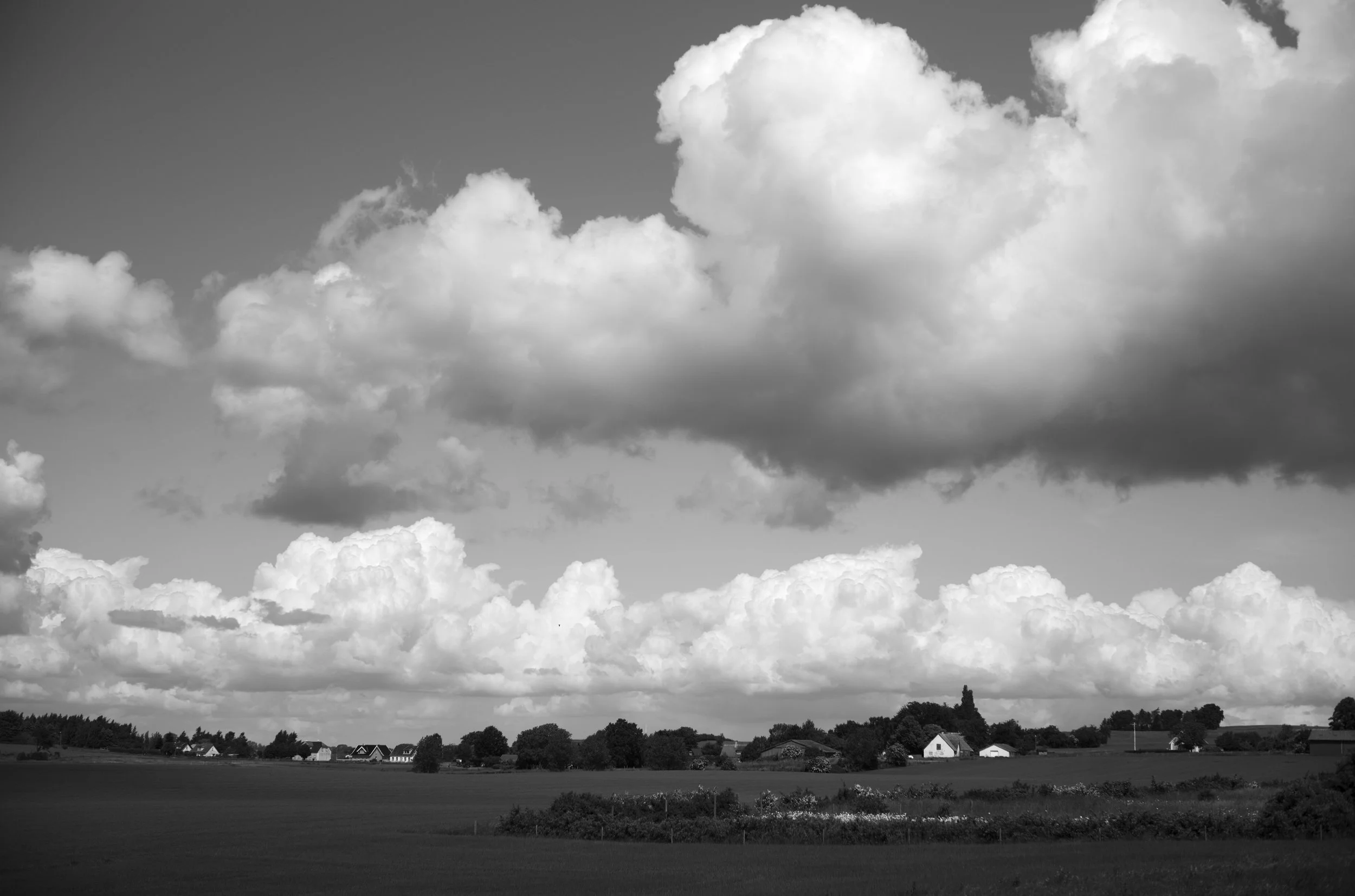 2L1006185_cp_l.jpg