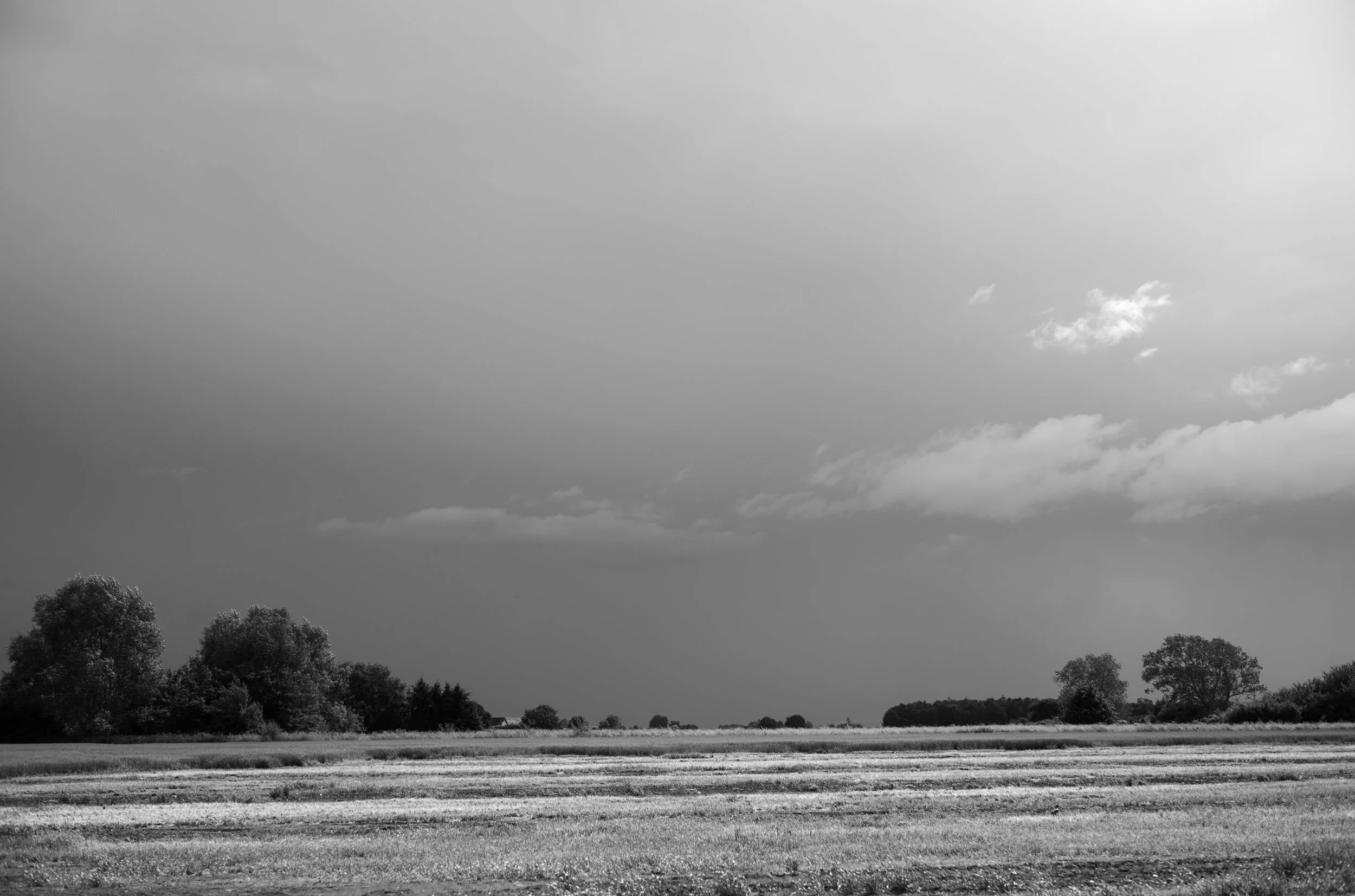 2L1006236_cp_l.jpg