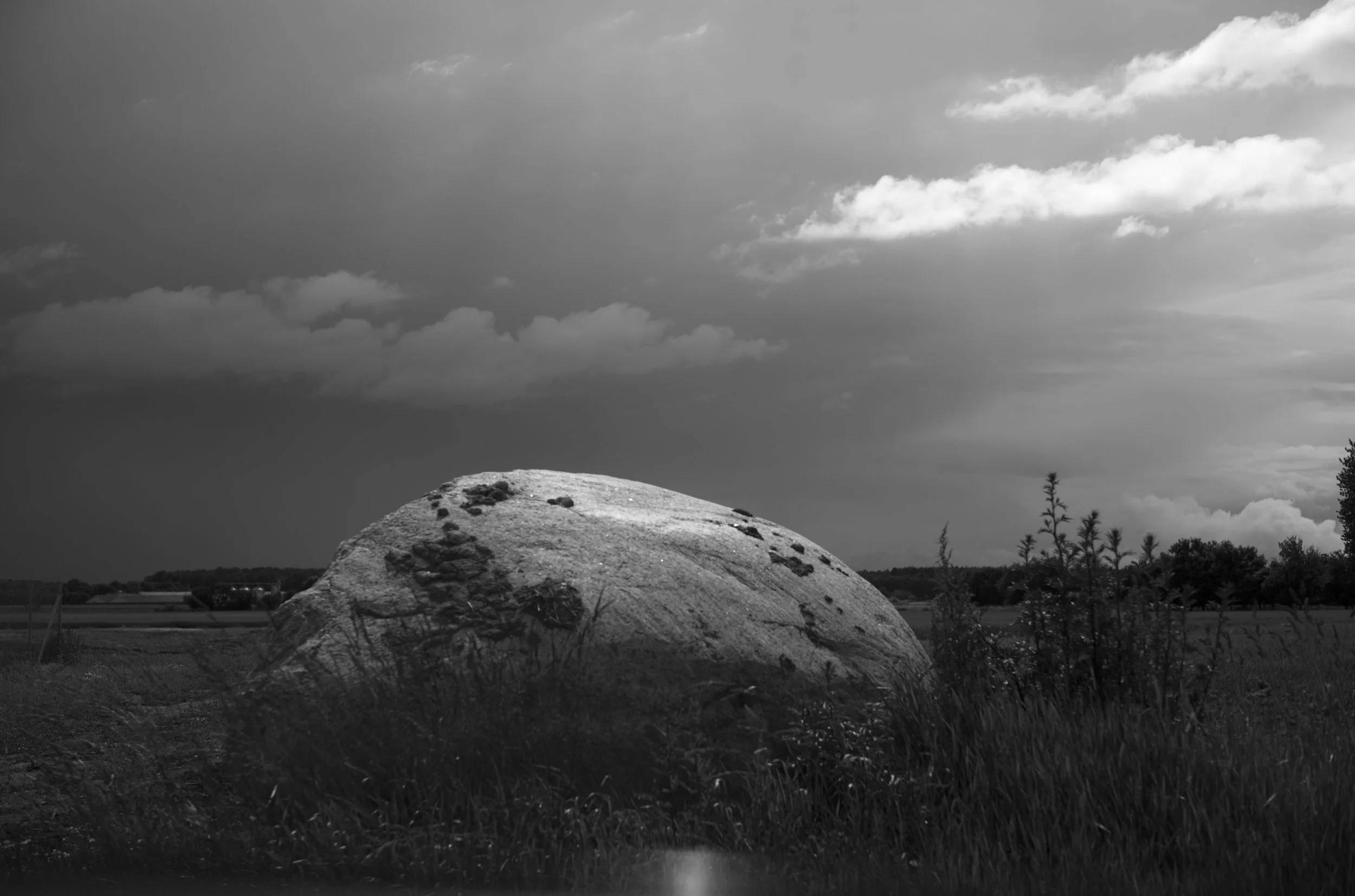 2L1006239_cp_l.jpg