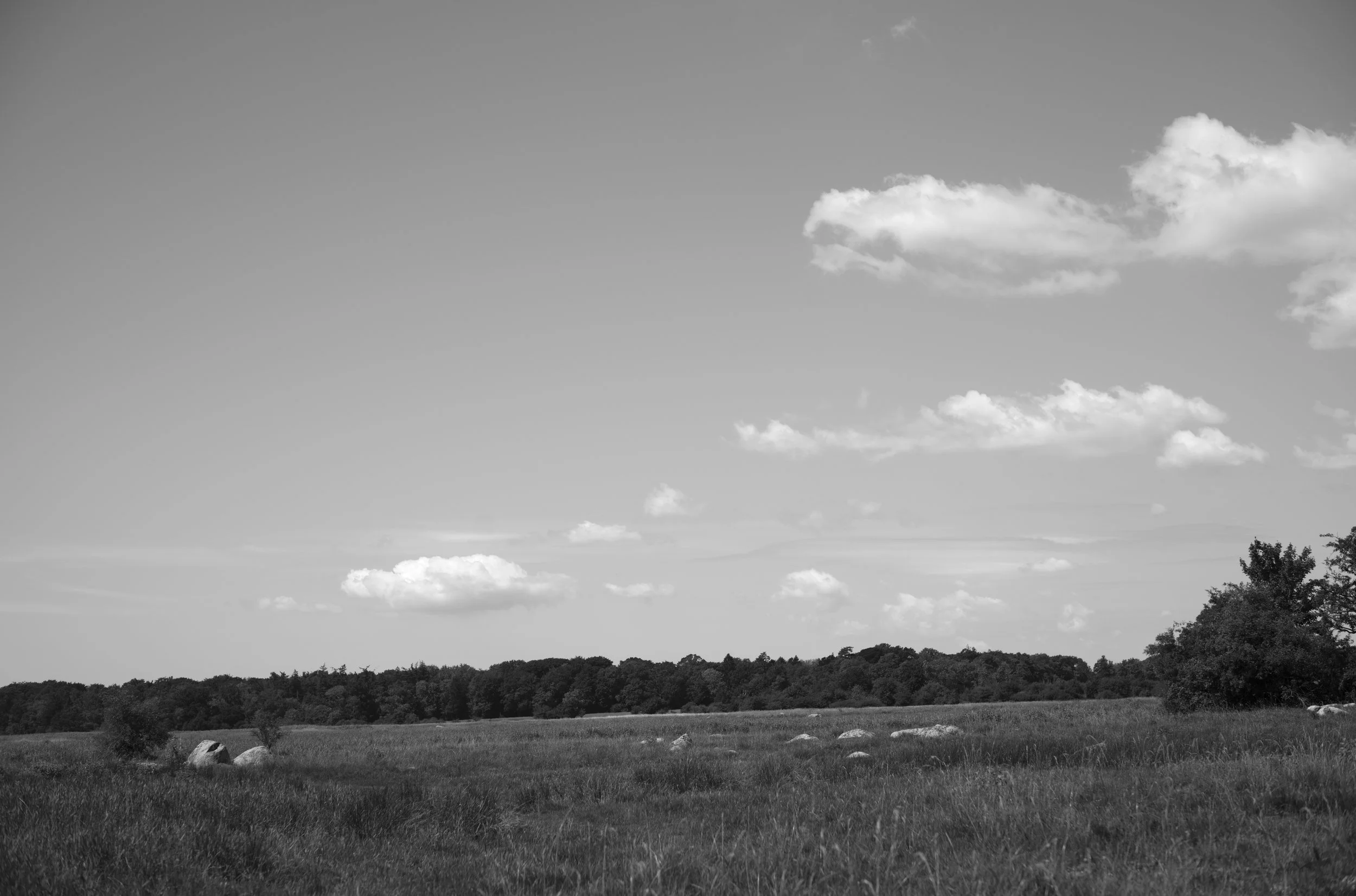 2L1008010_cp_l.jpg