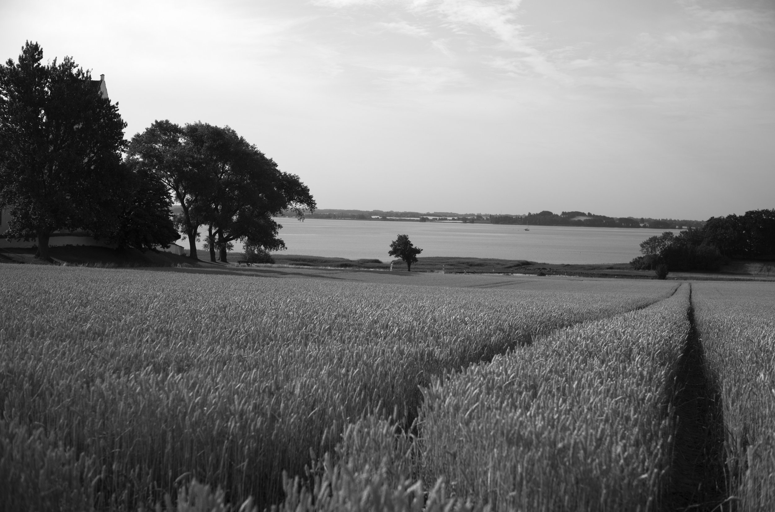 2L1008043_cp_l.jpg