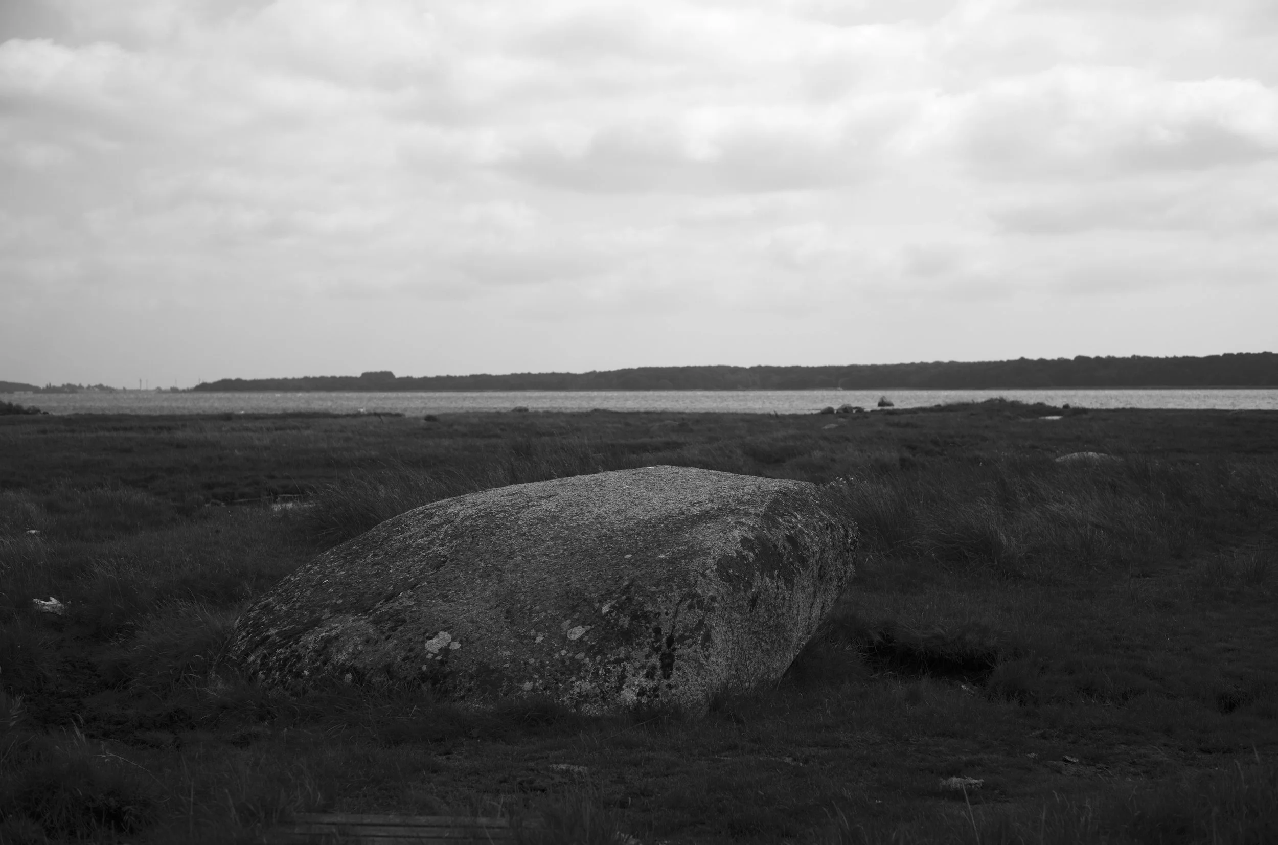 2L1008055_cp_l.jpg