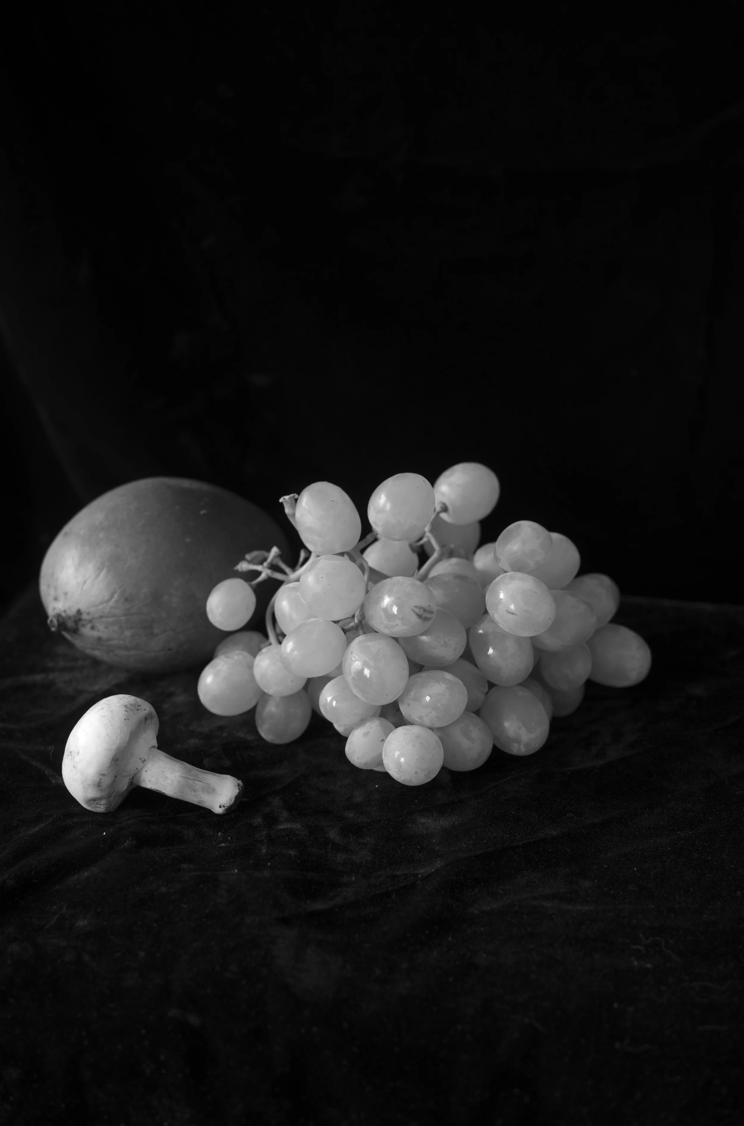 2L1008079_cp_l.jpg