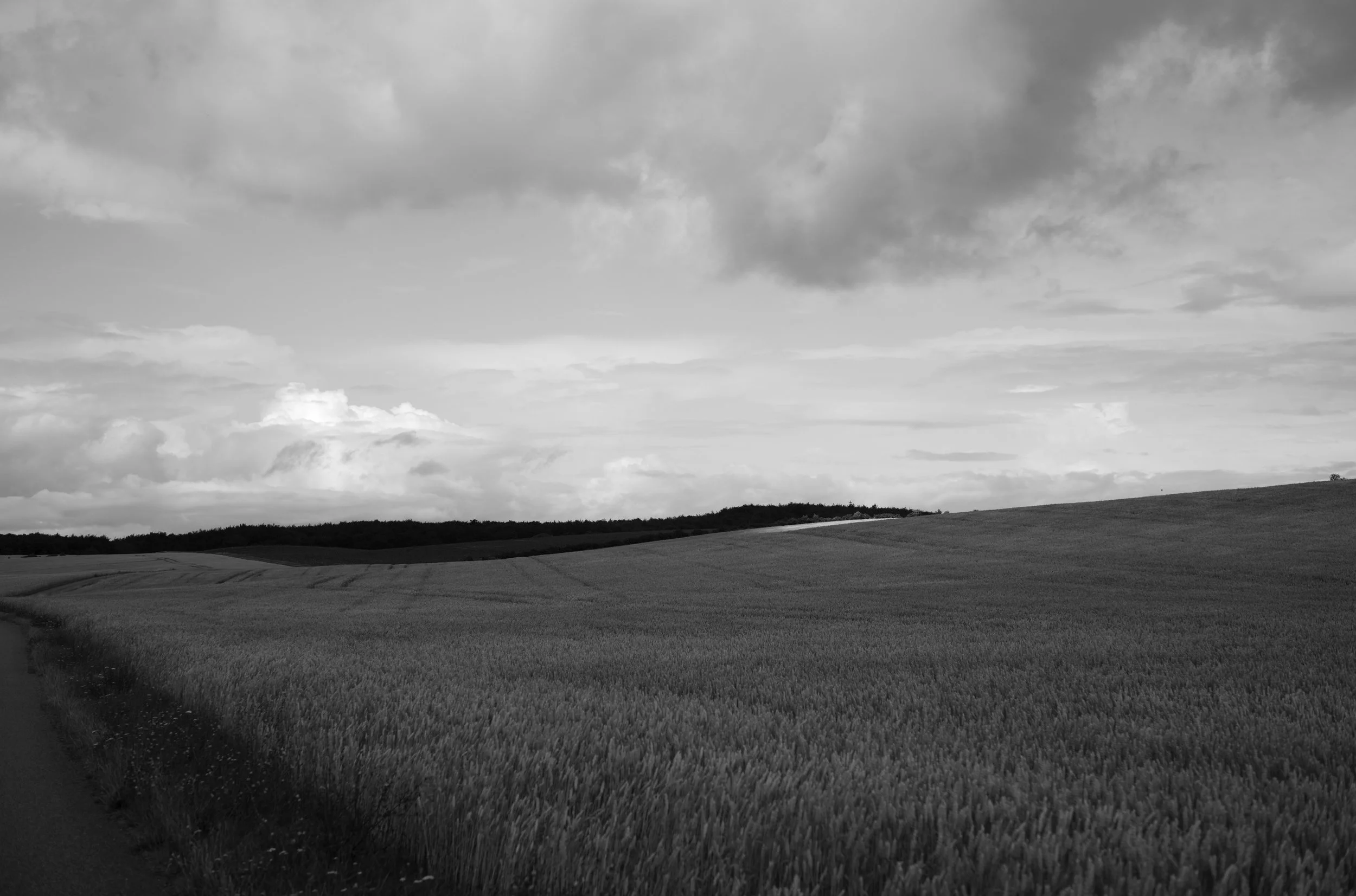 2L1008094_cp_l.jpg
