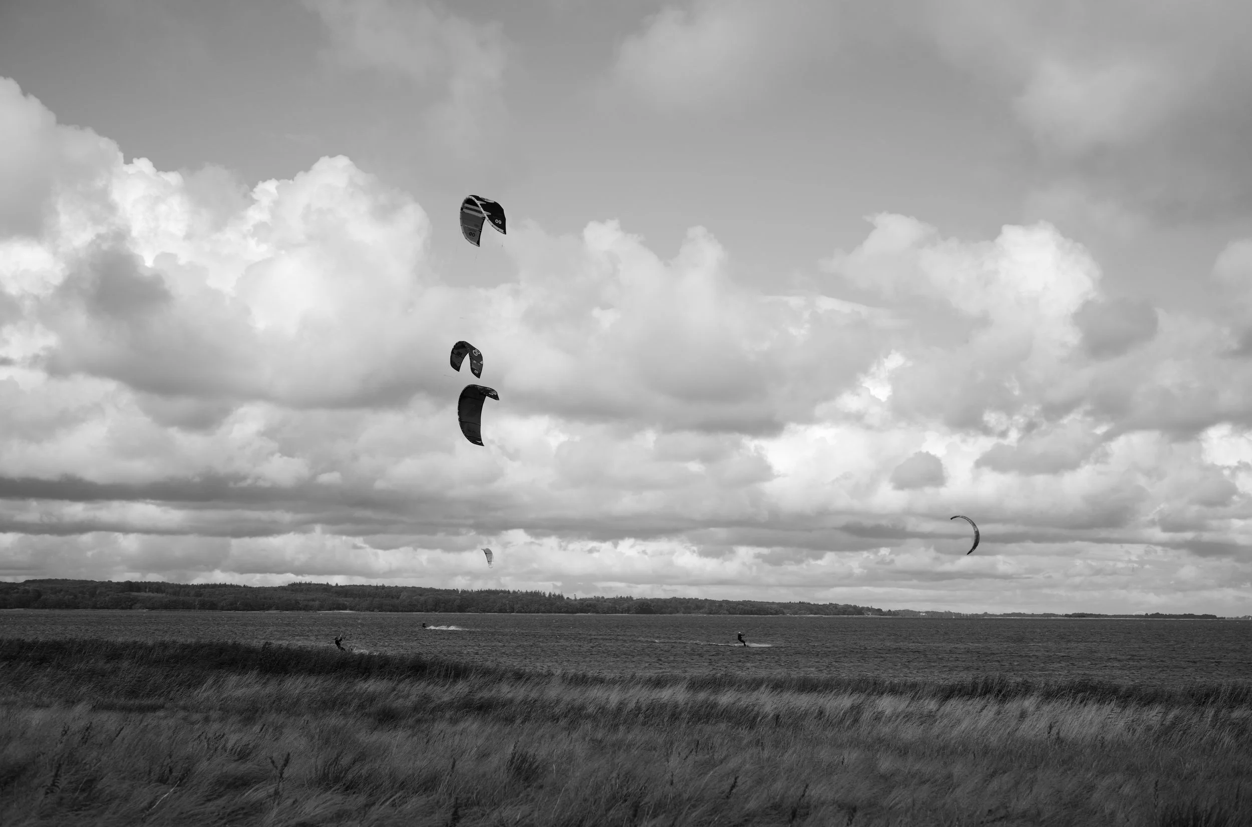 2L1008097_cp_l.jpg