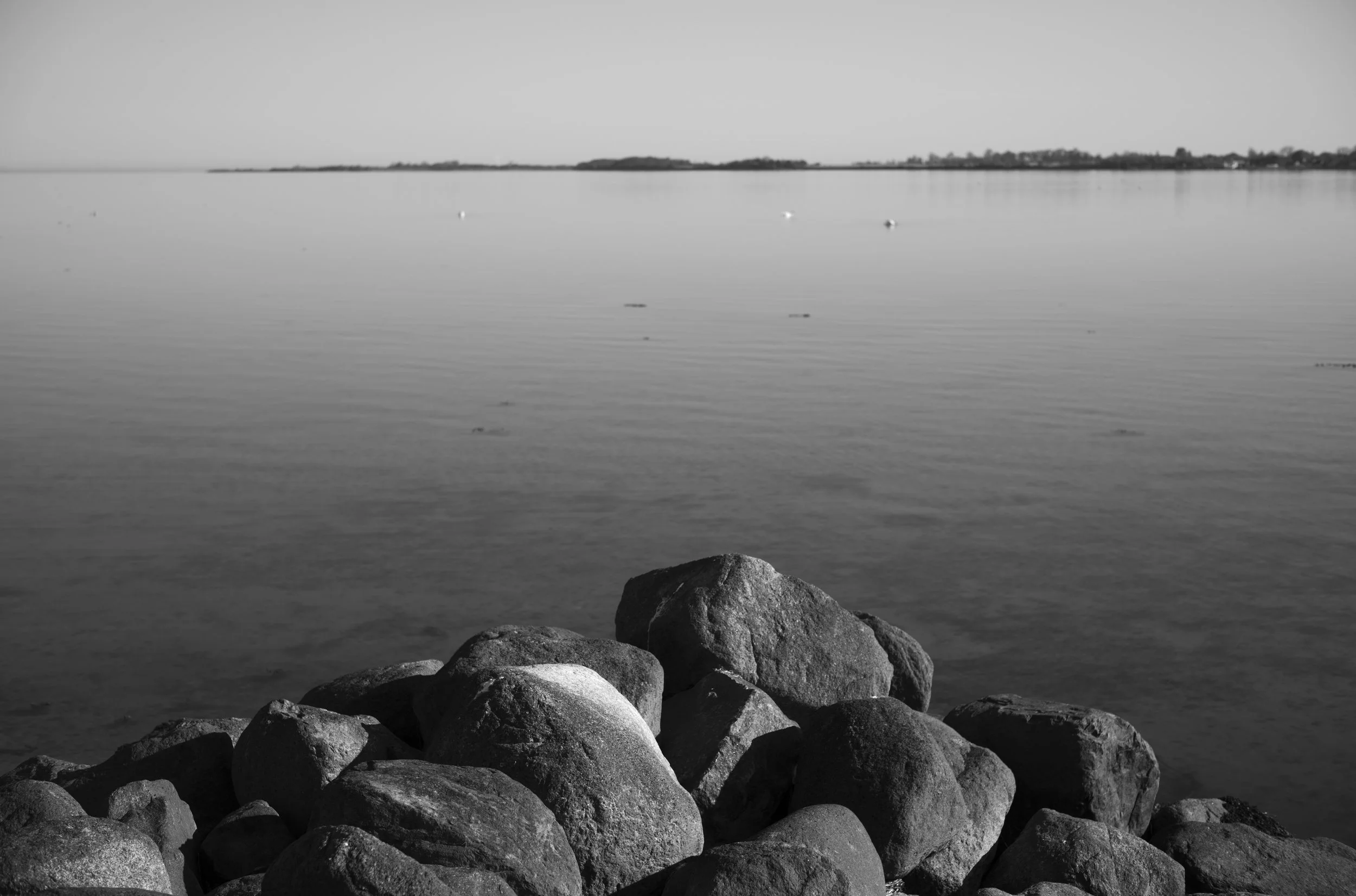 2L1005632_cp_l.jpg