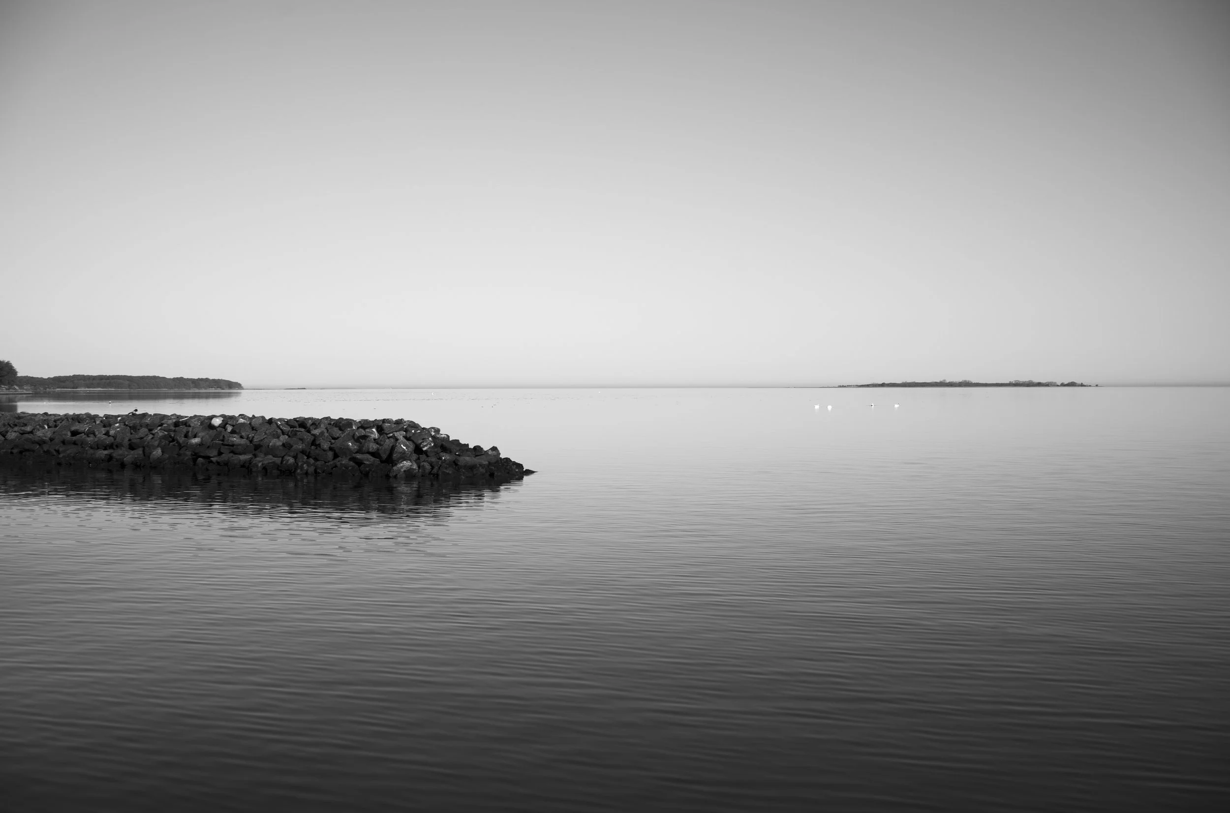 2L1005633_cp_l.jpg