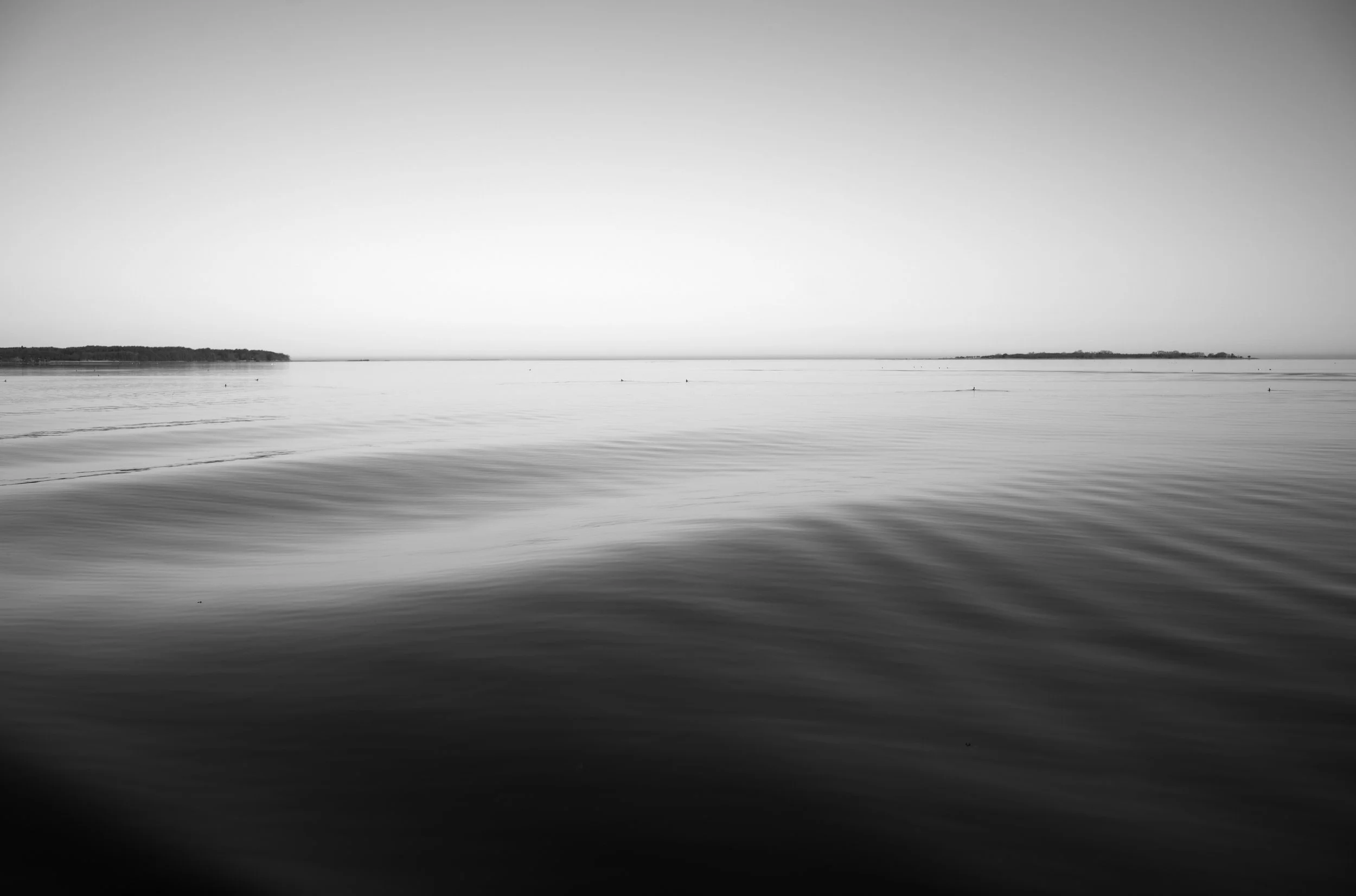 2L1005637_cp_l.jpg
