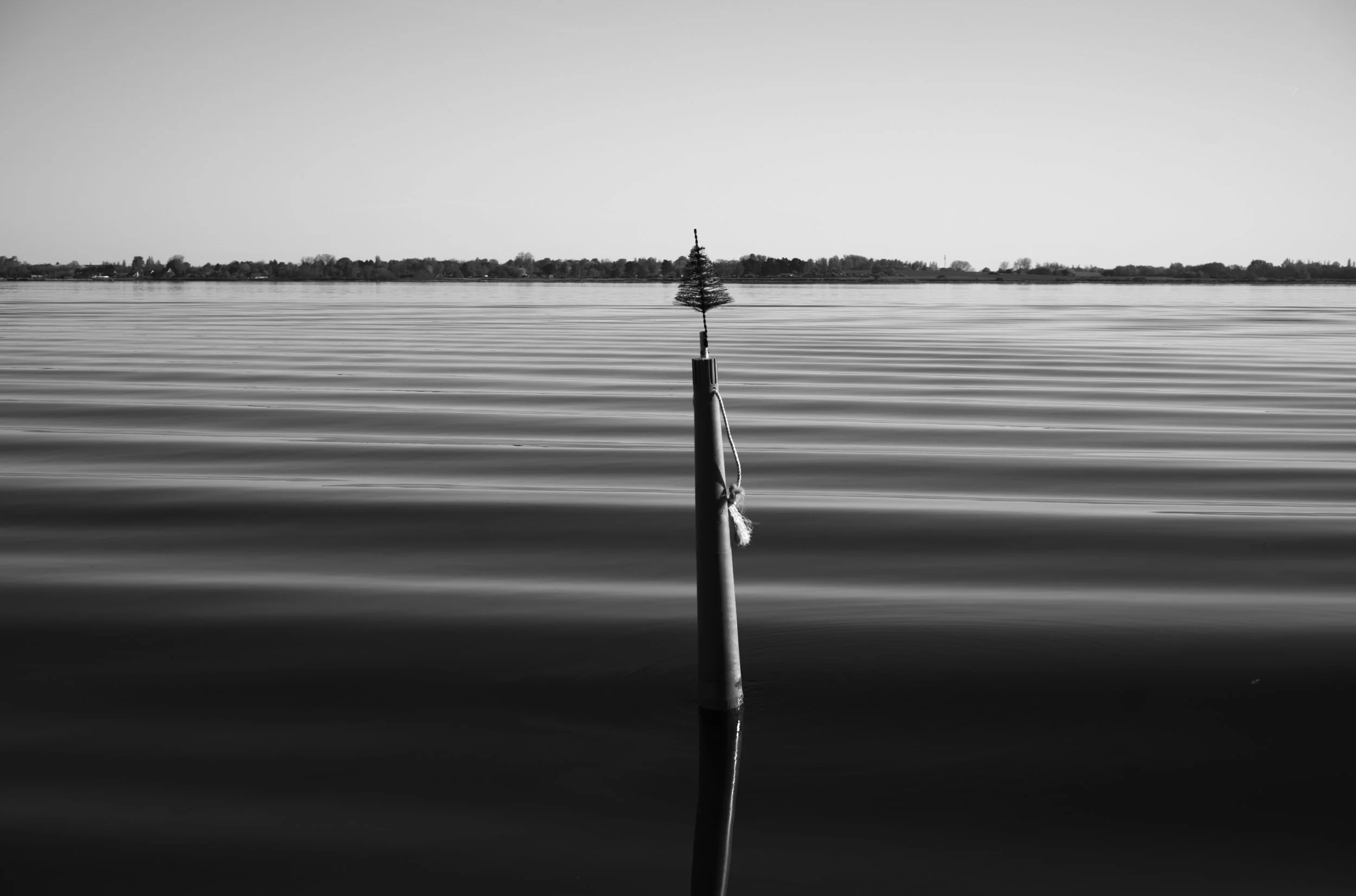 2L1005640_cp_l.jpg
