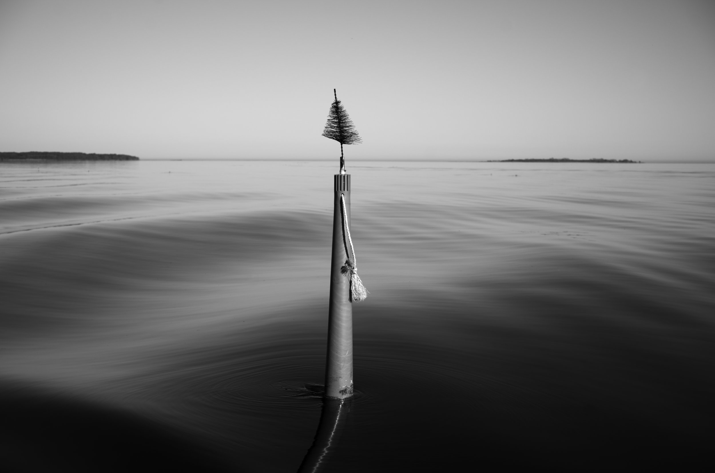 2L1005643_cp_l.jpg