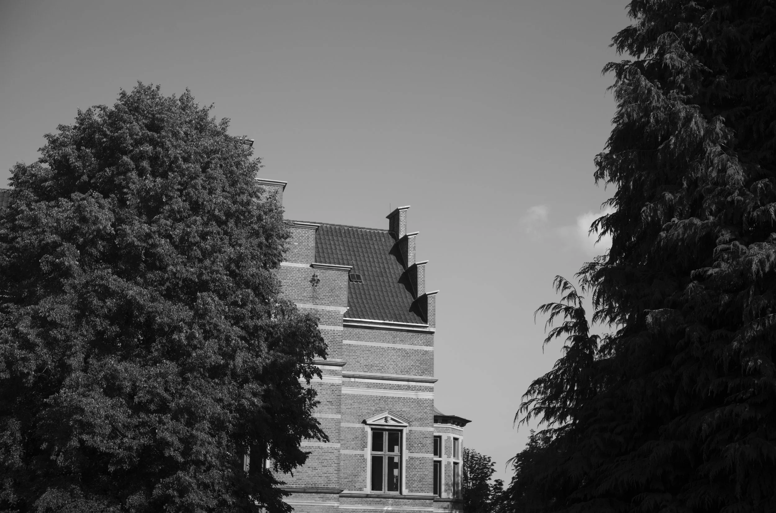 2L1008177_cp_l.jpg