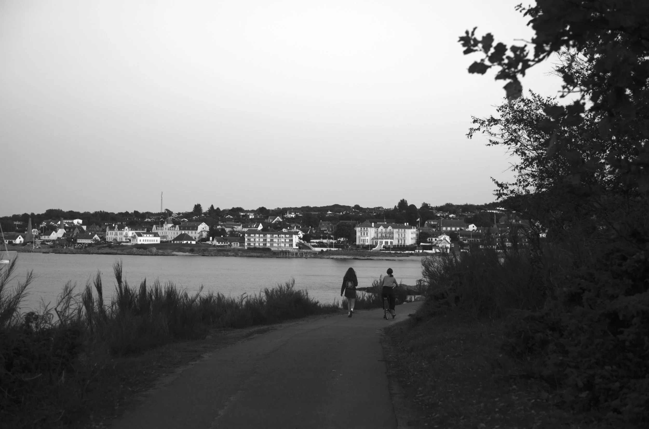 2L1008266_cp_l.jpg