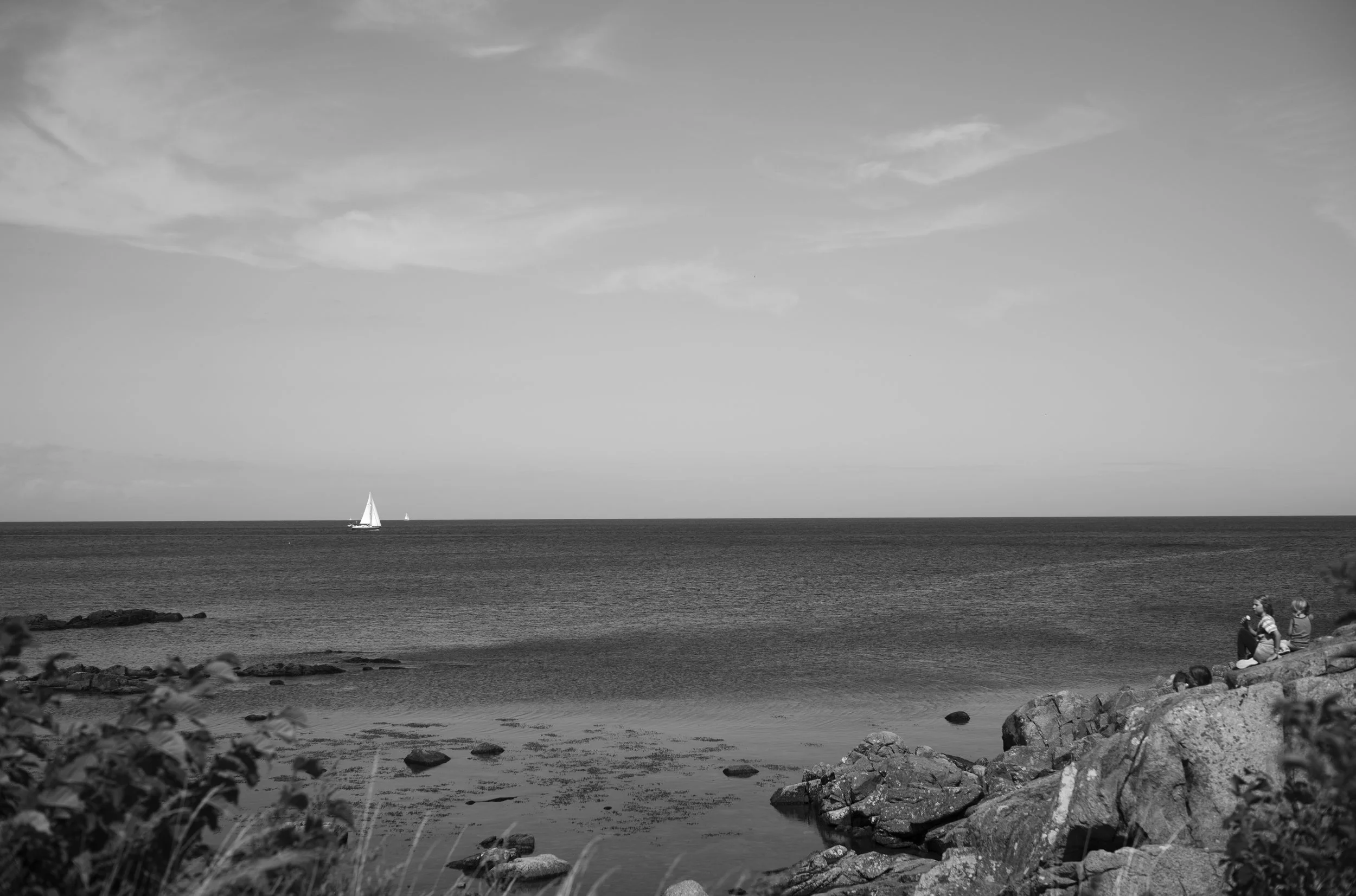 2L1008273_cp_l.jpg