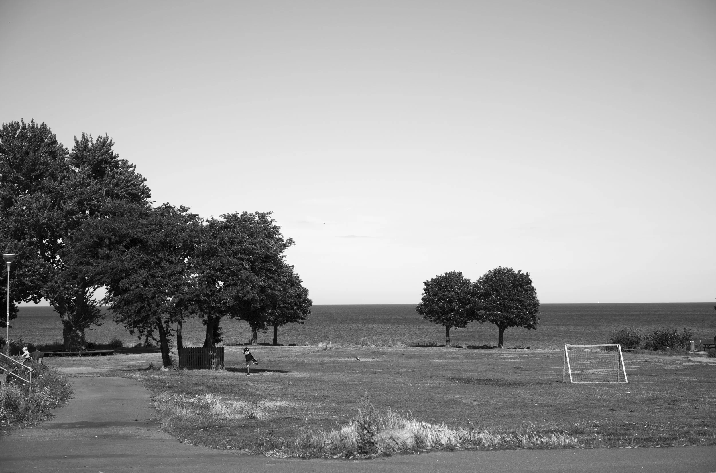 2L1008275_cp_l.jpg