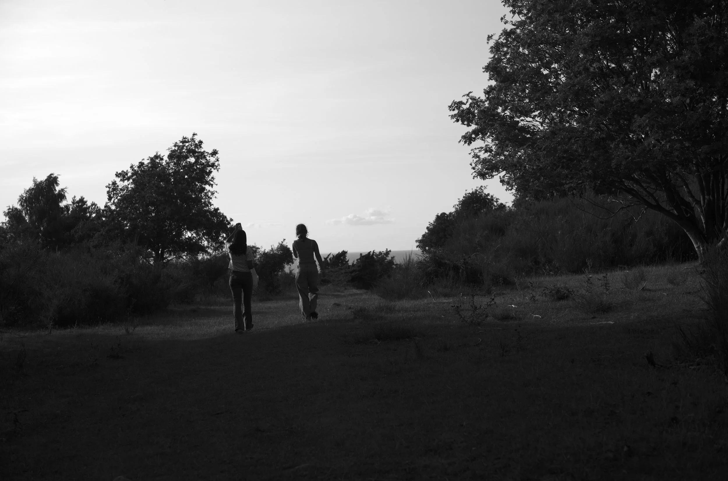 2L1008277_cp_l.jpg