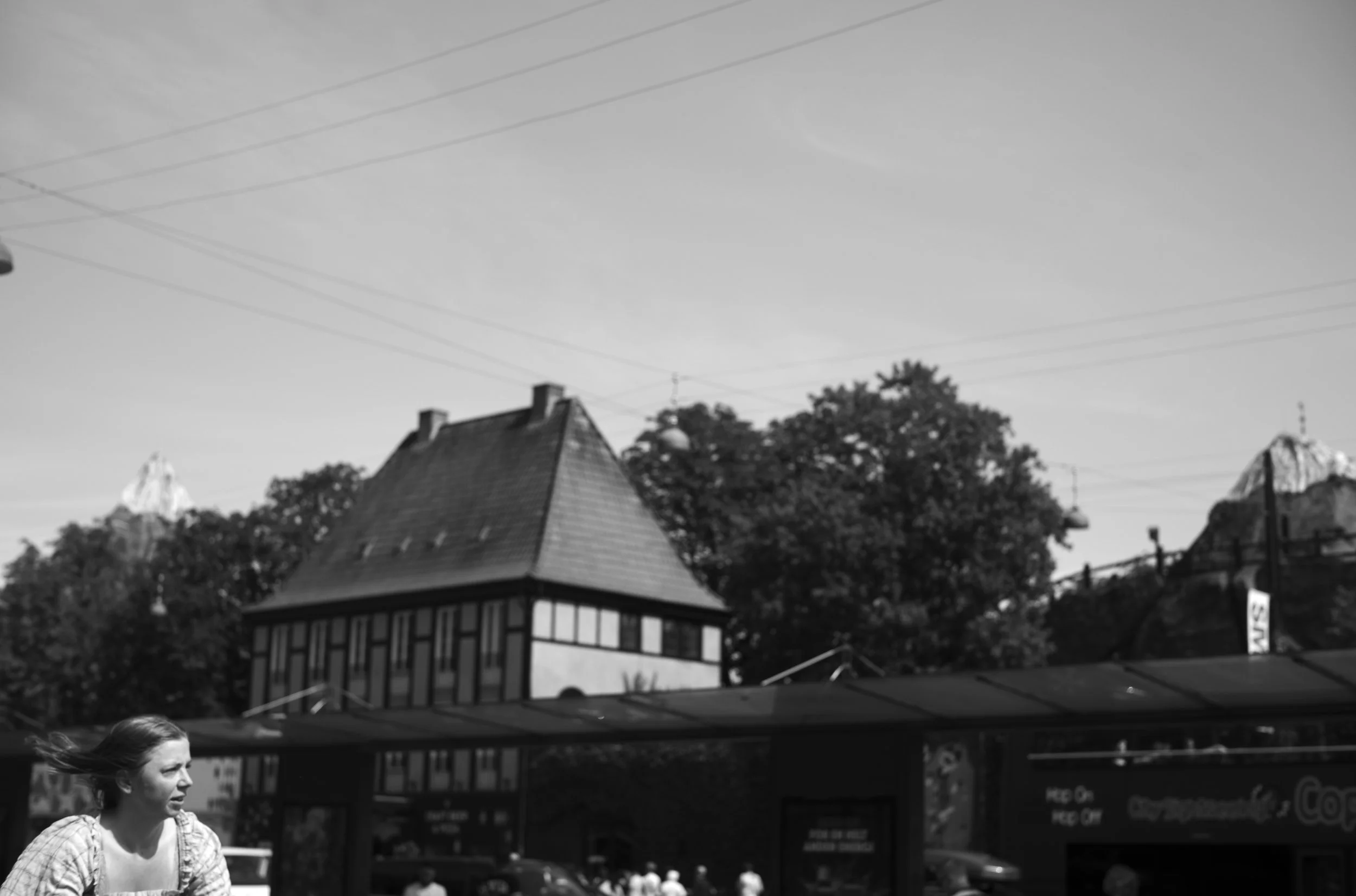 2L1008341_cp_l.jpg