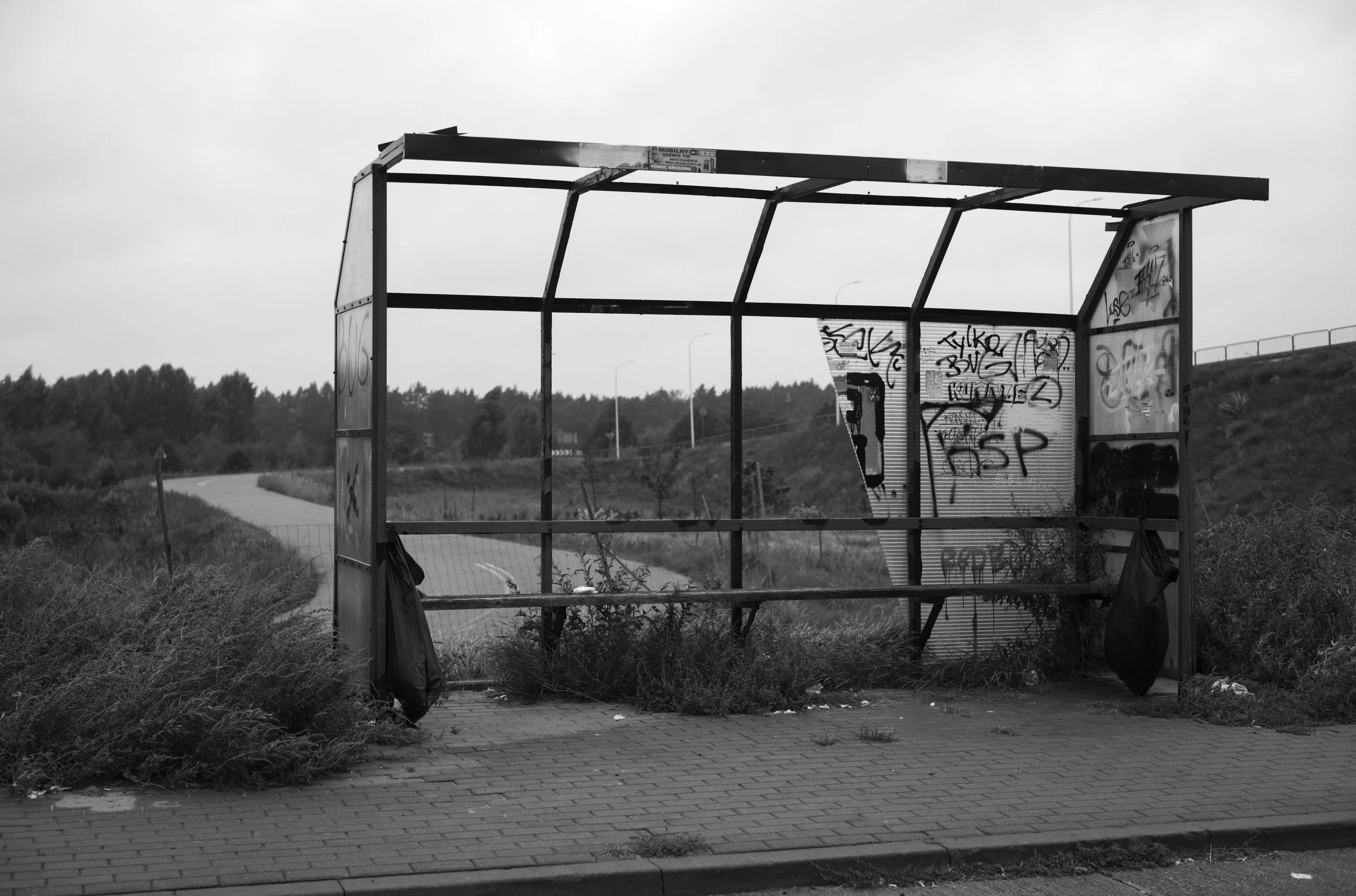 2L1008728-2_cp_l.jpg